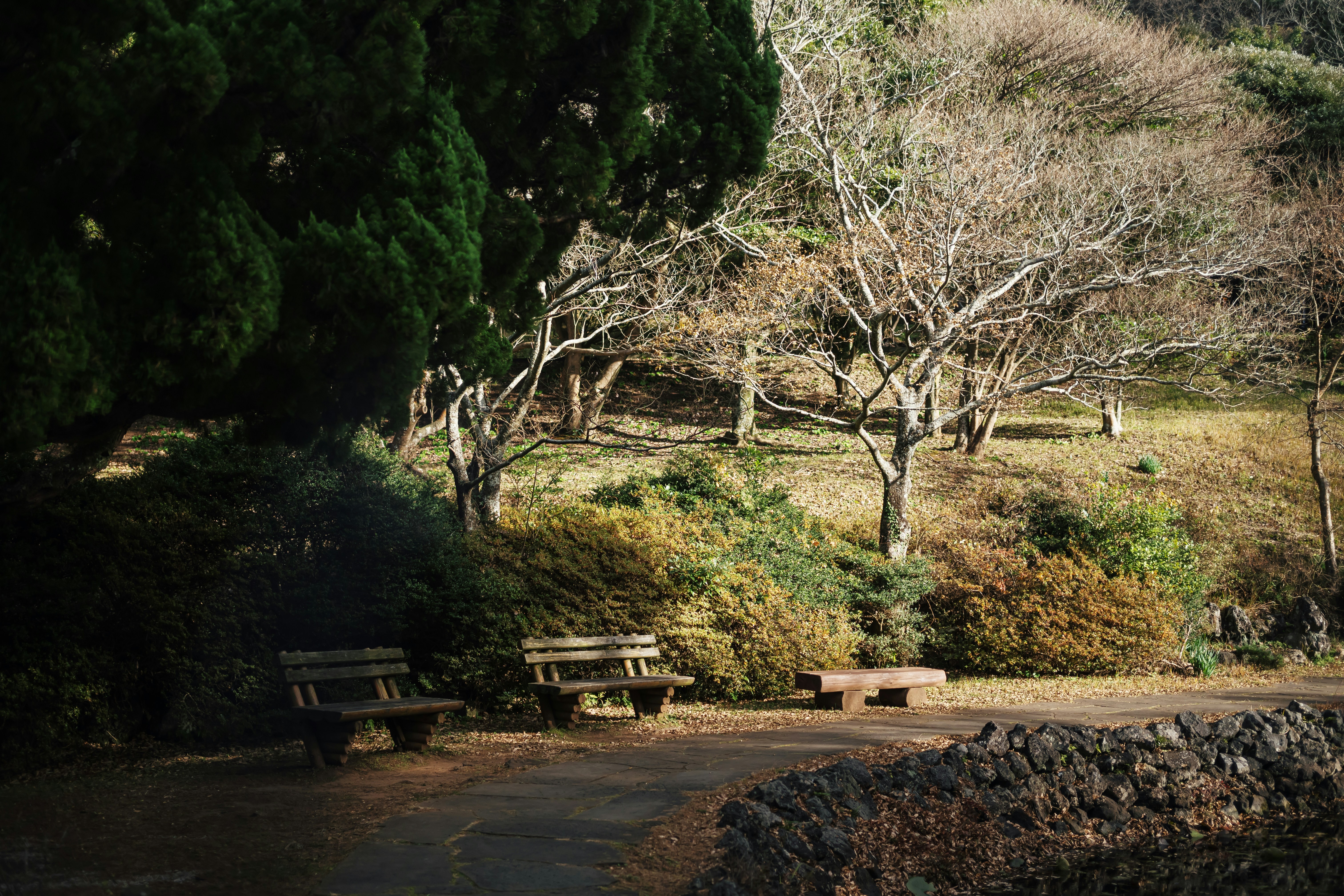 A park with a lot of trees and benches