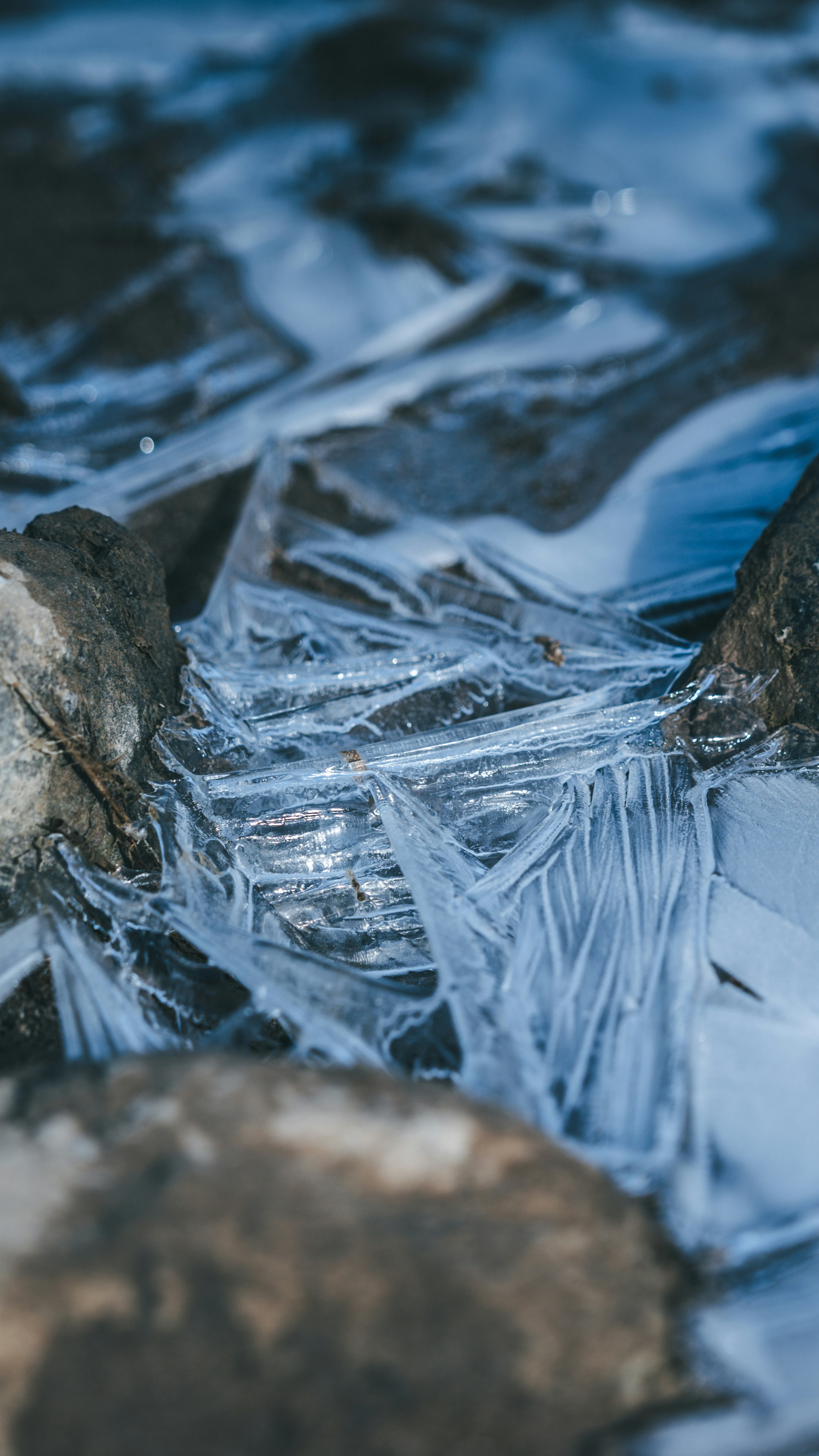 Photo by peek_a_boo_who