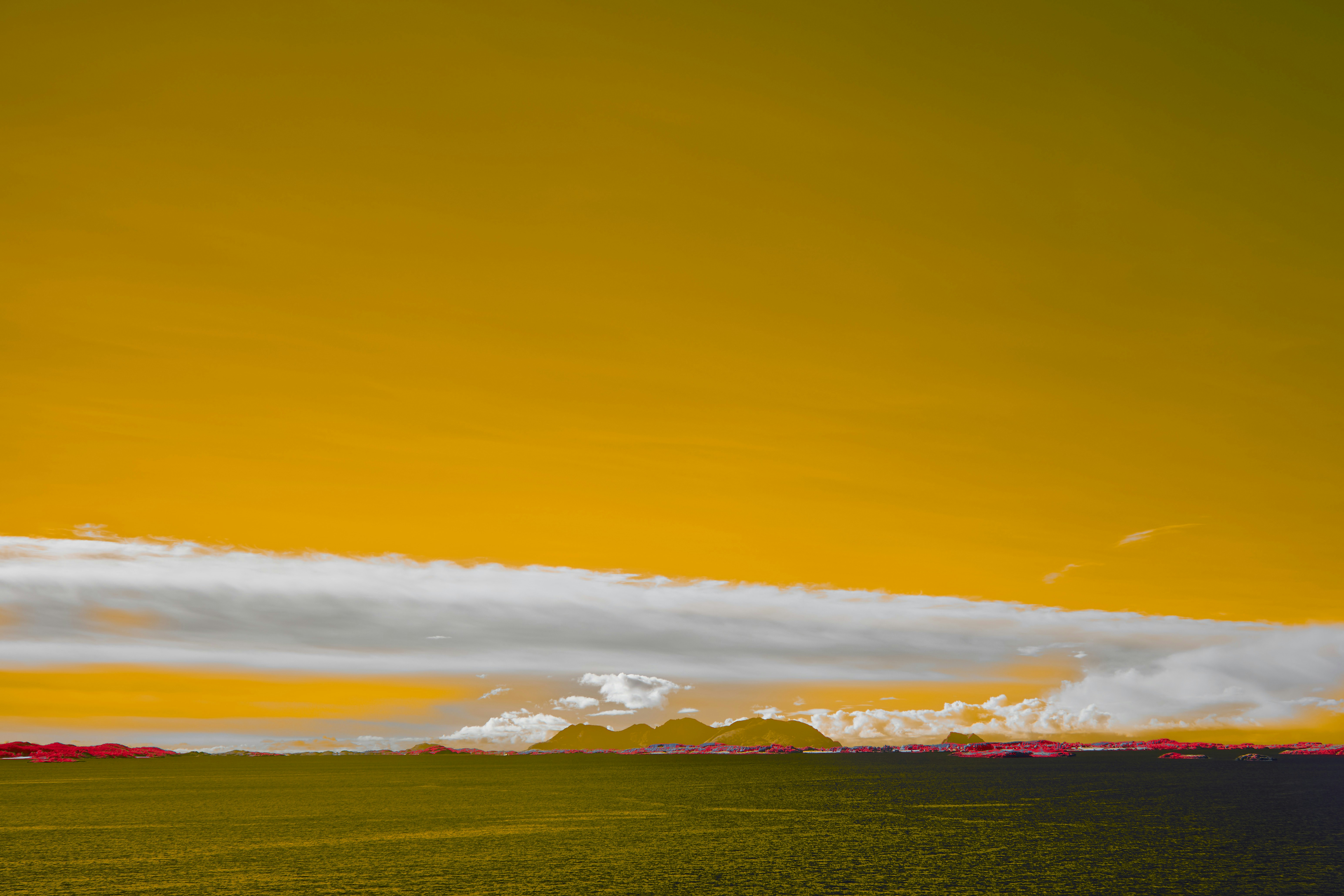 Photo by wolfgang_hasselmann