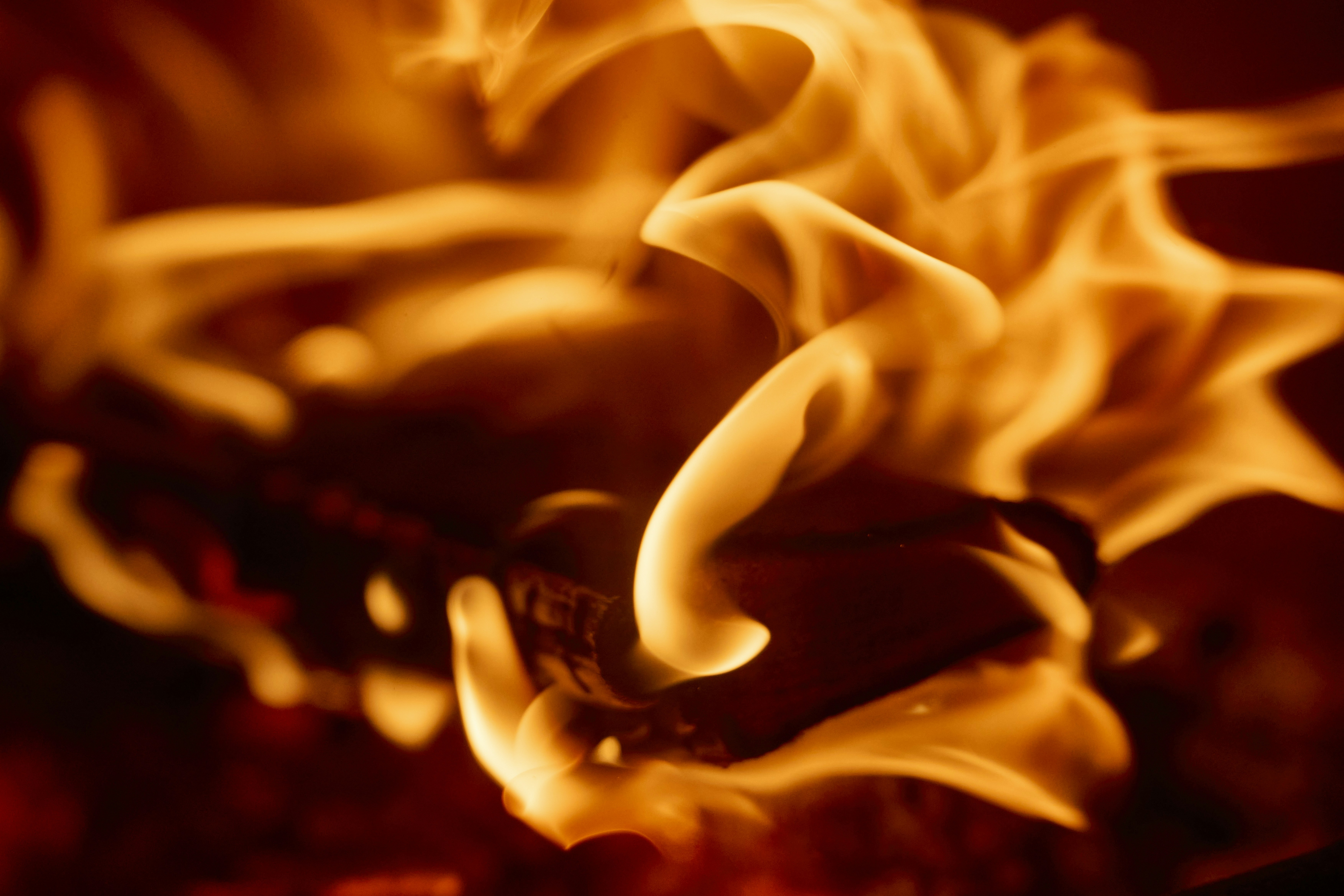 Photo by wolfgang_hasselmann