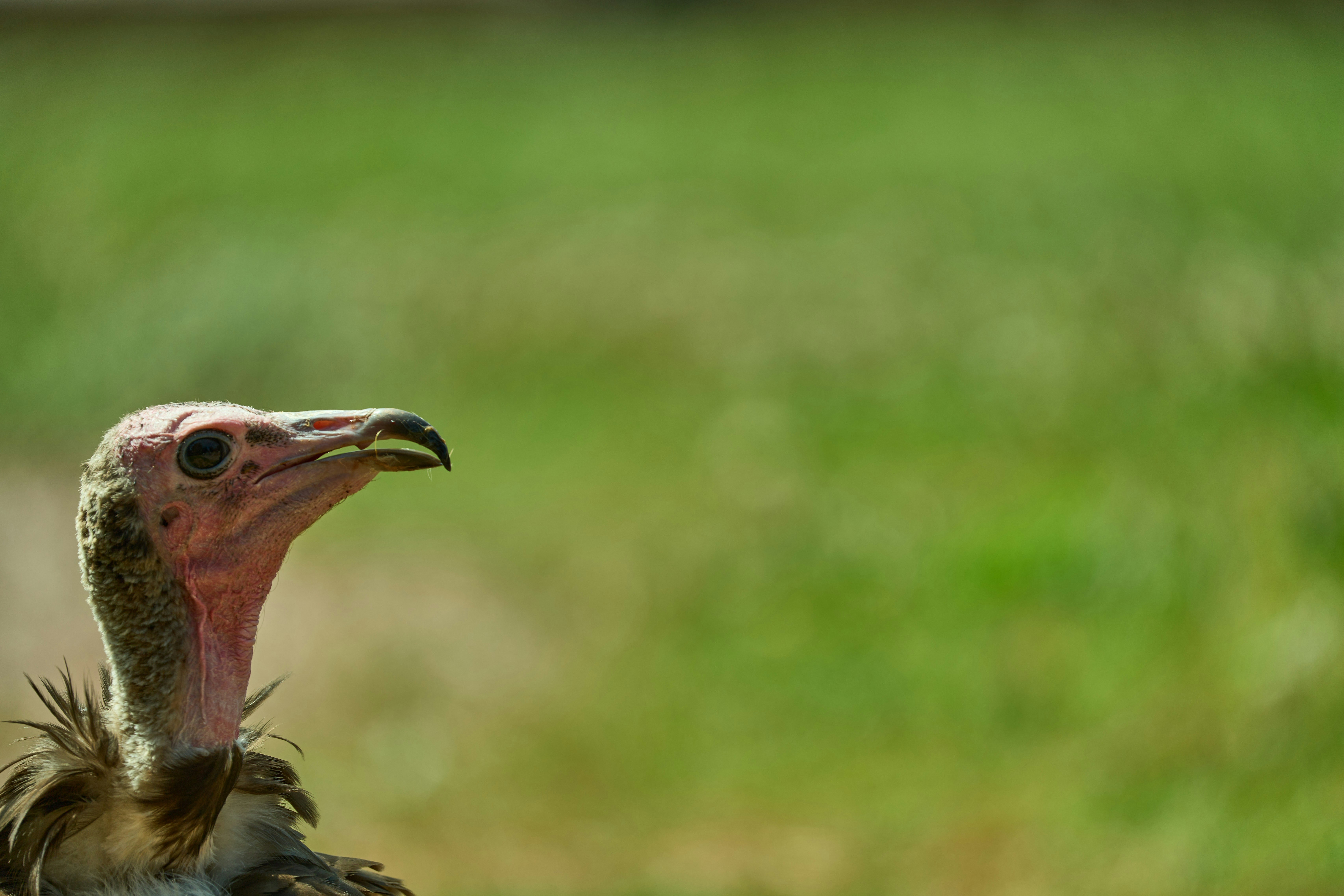 Photo by wolfgang_hasselmann