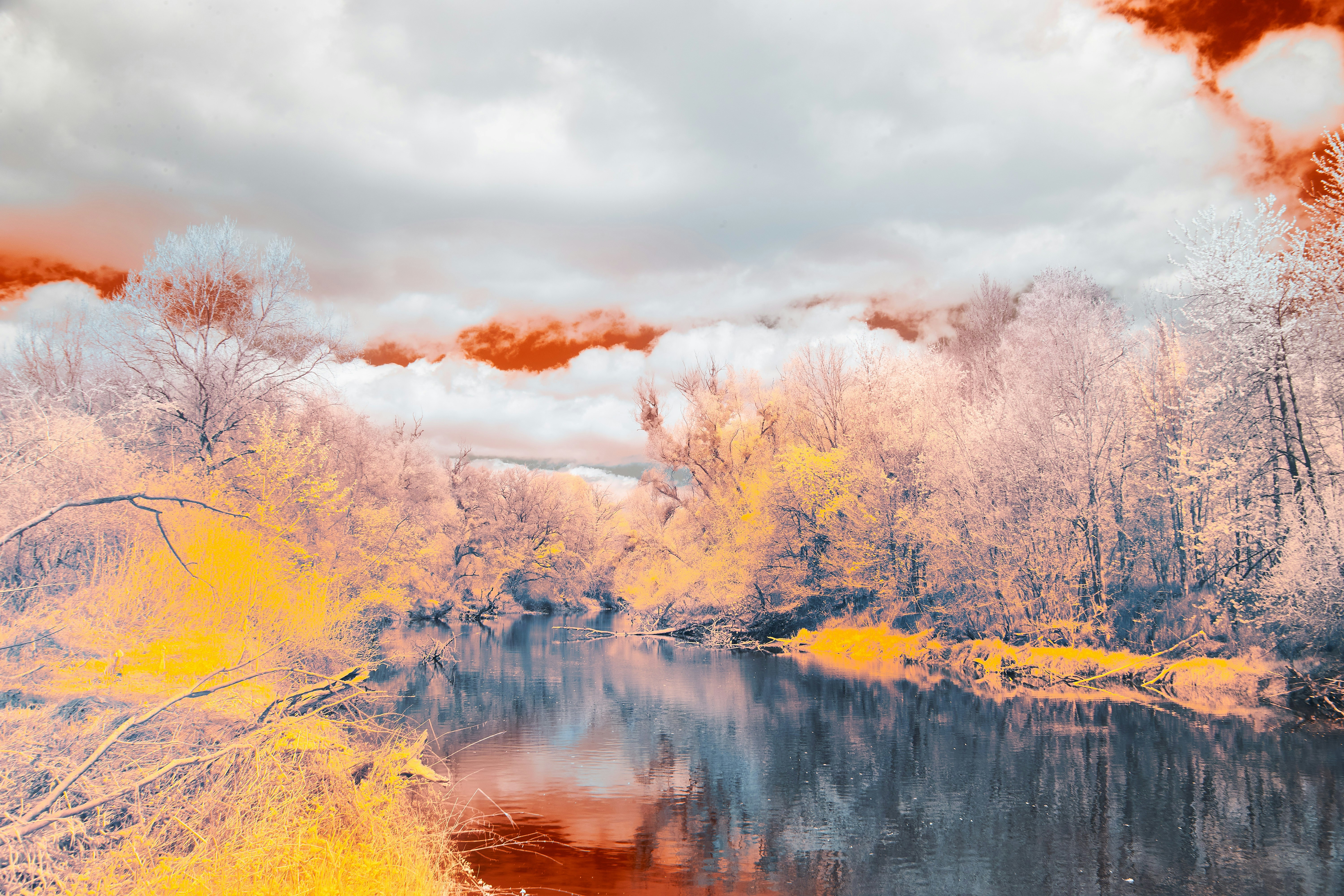 Photo by wolfgang_hasselmann