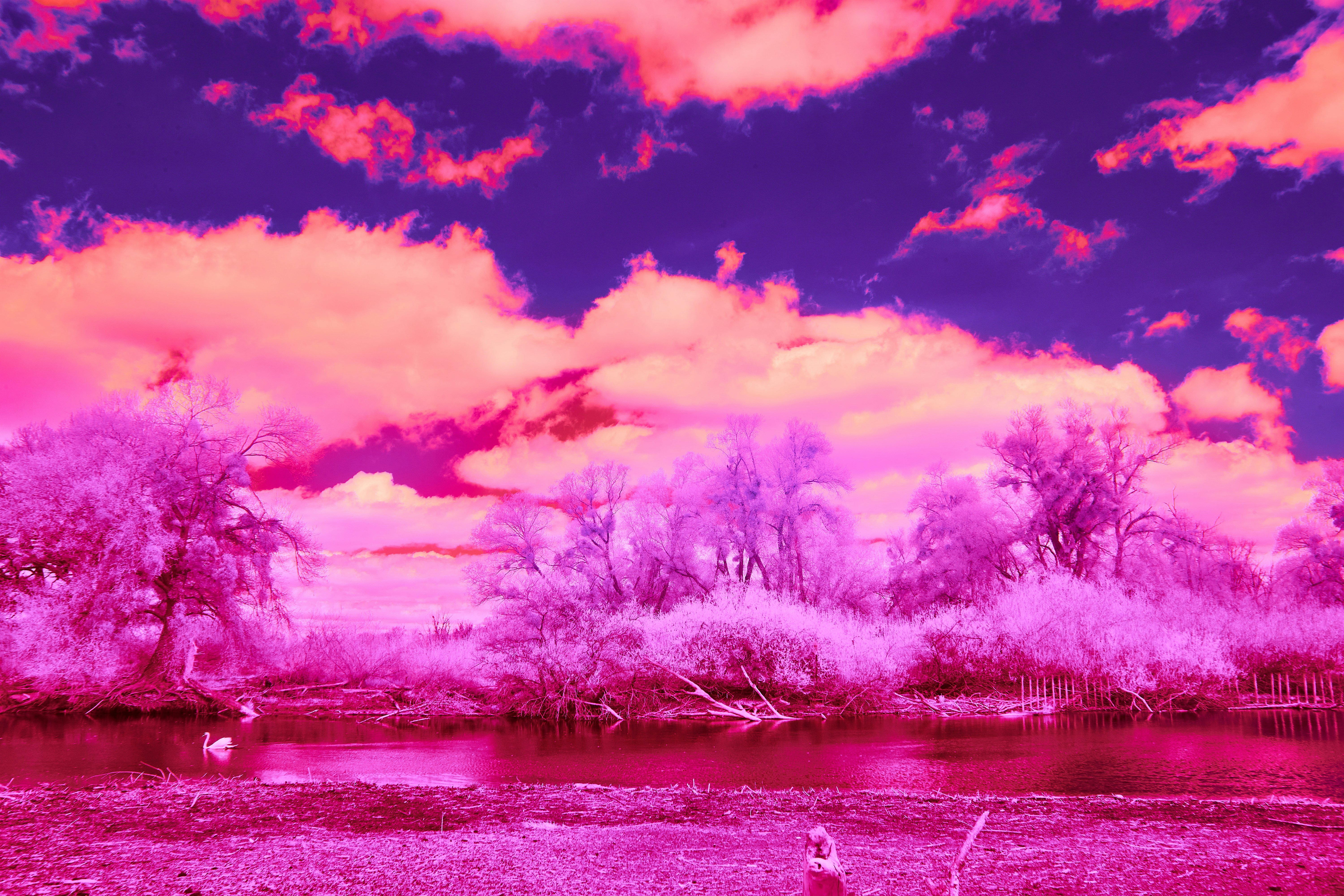 Photo by wolfgang_hasselmann