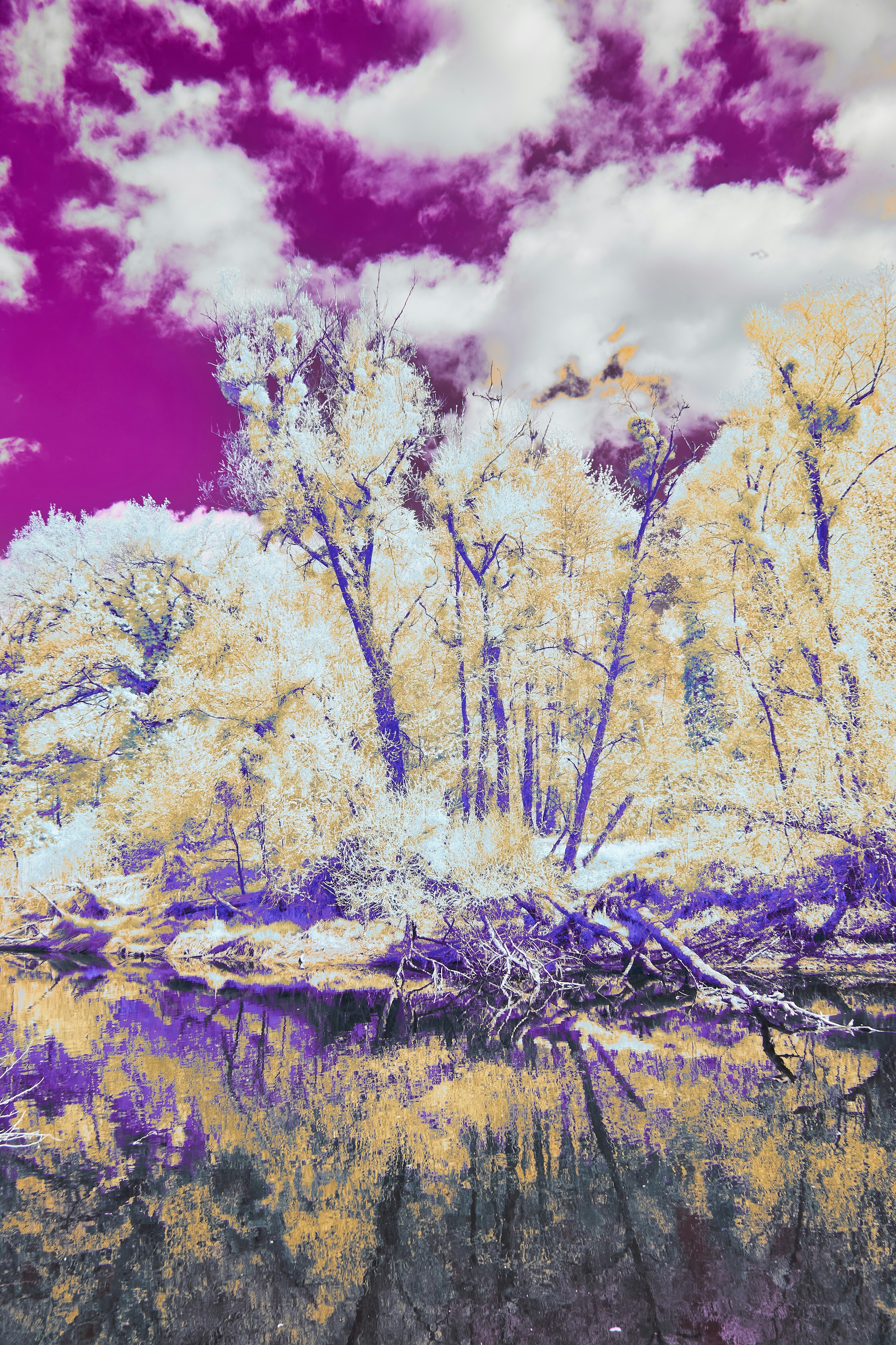 Photo by wolfgang_hasselmann