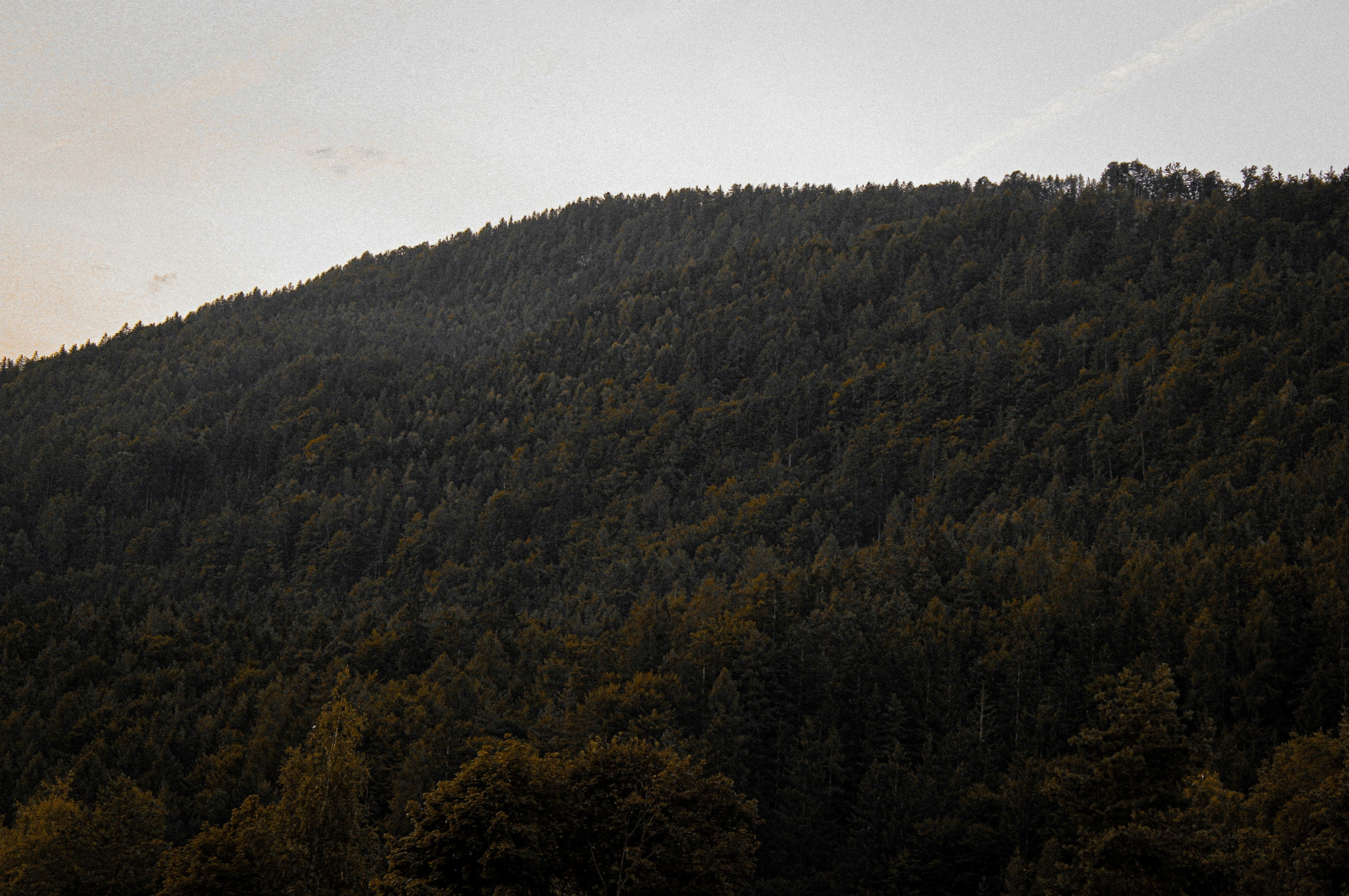 Photo by mihaelstojcevic