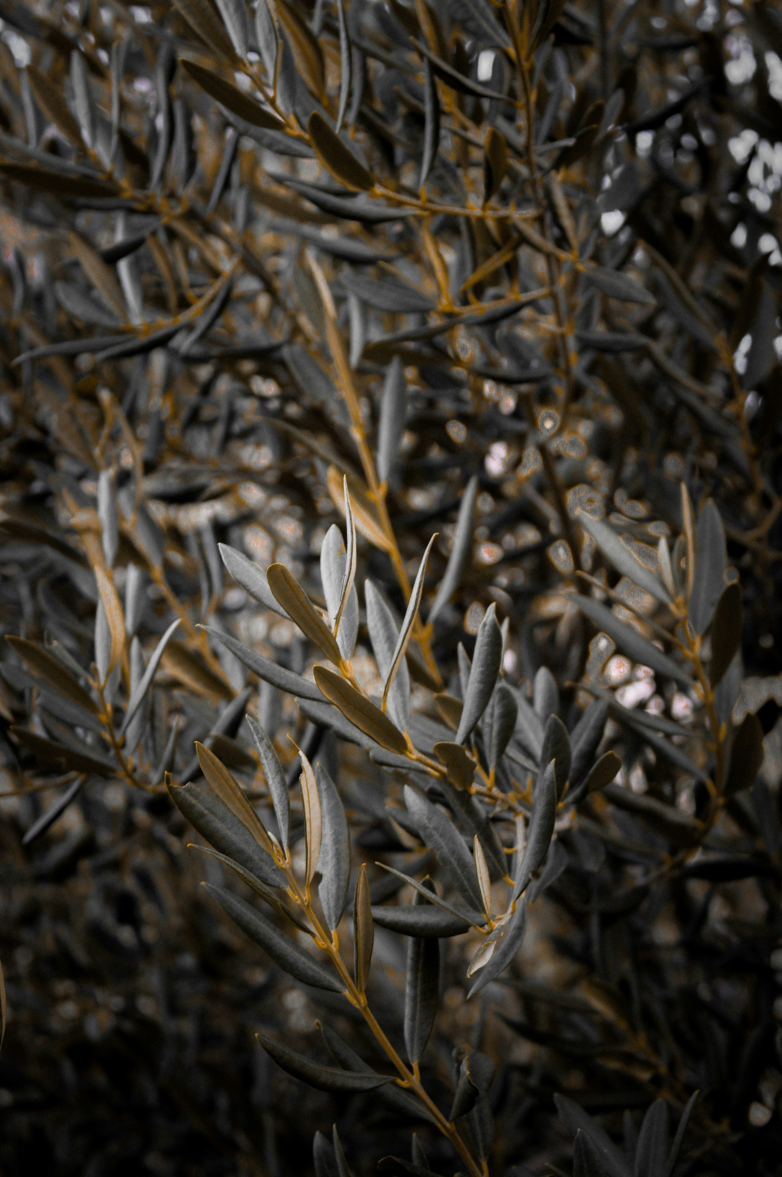 Photo by mihaelstojcevic