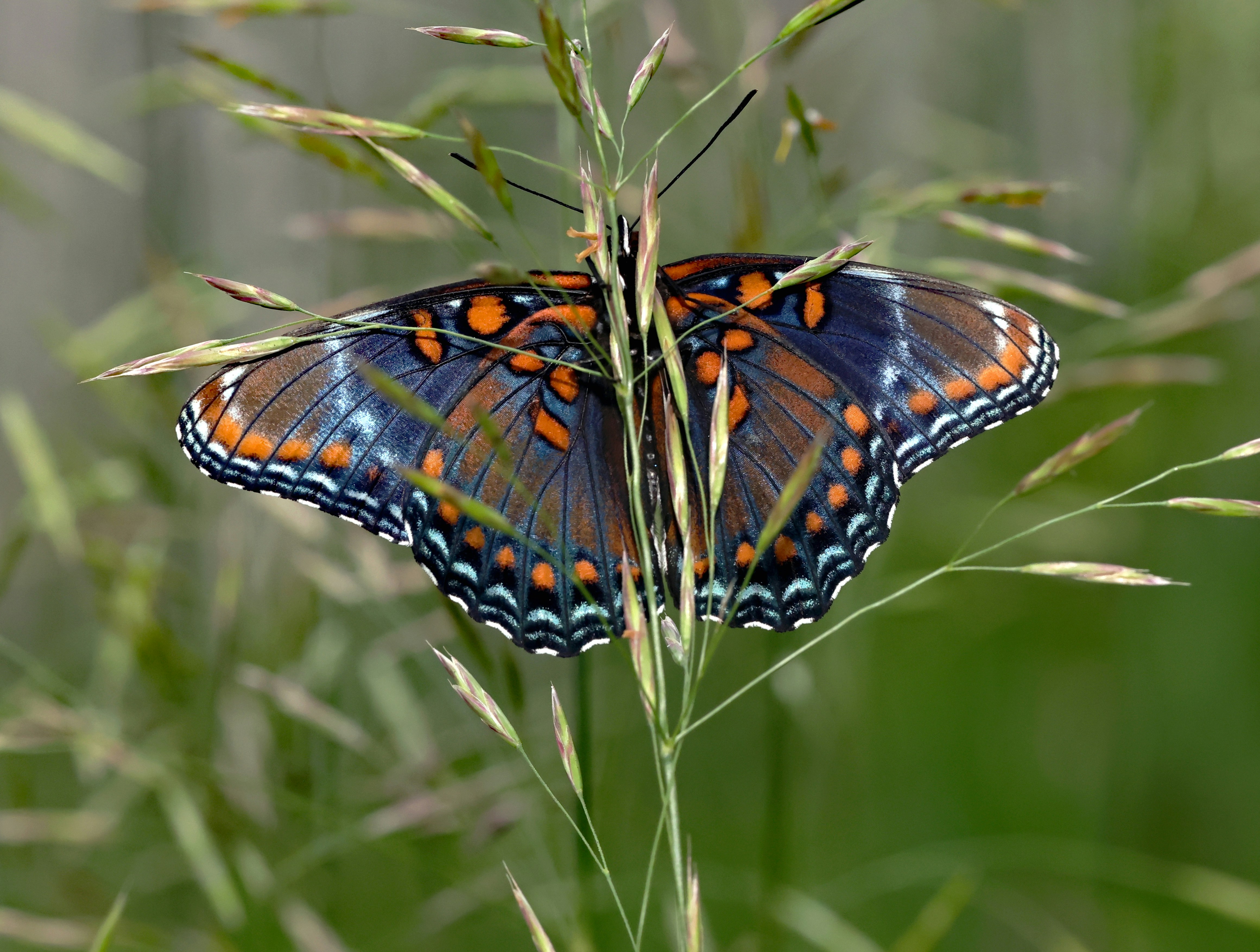 Photo by telliottmbamsc