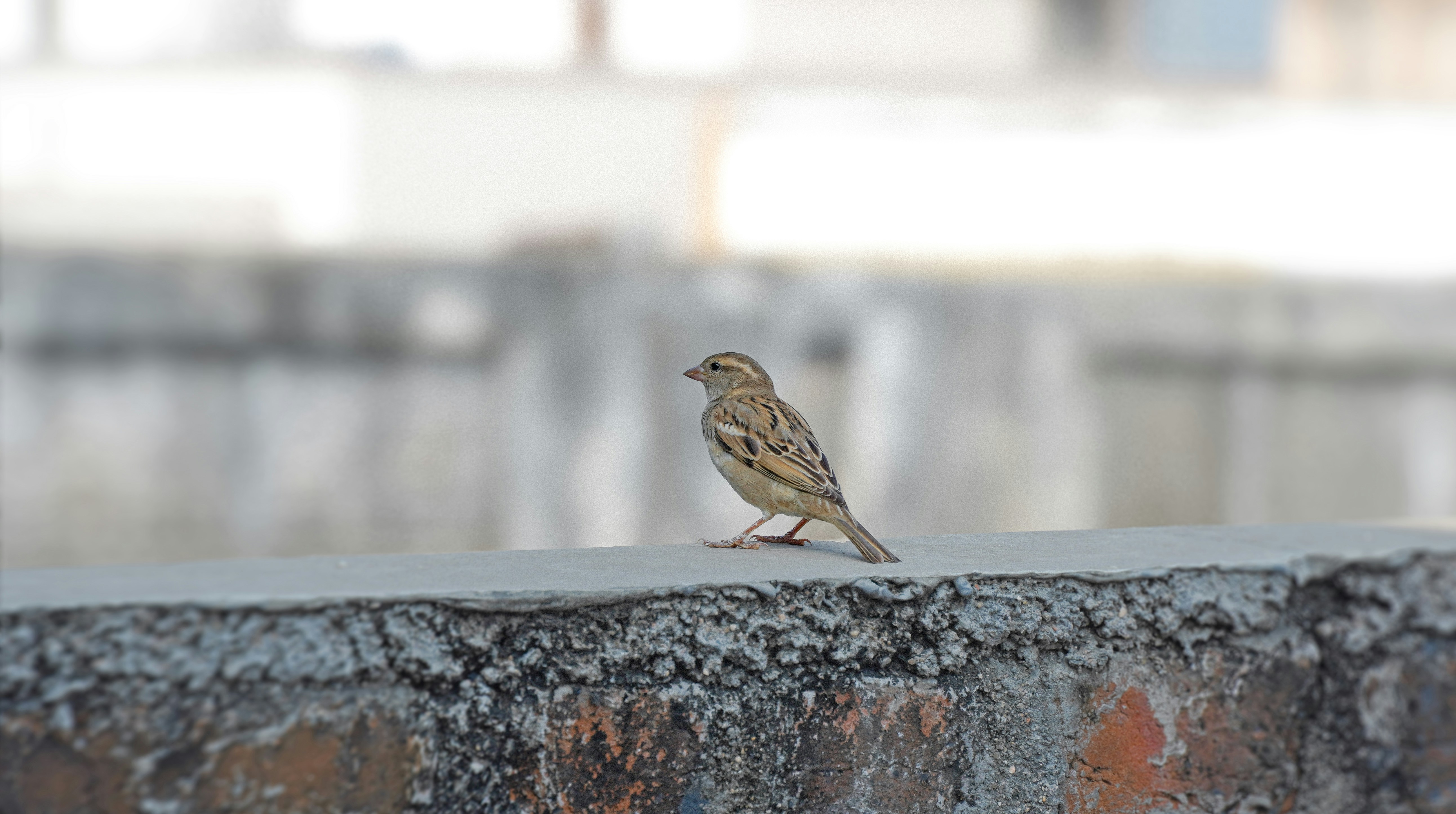 Photo by tarun_suthar_