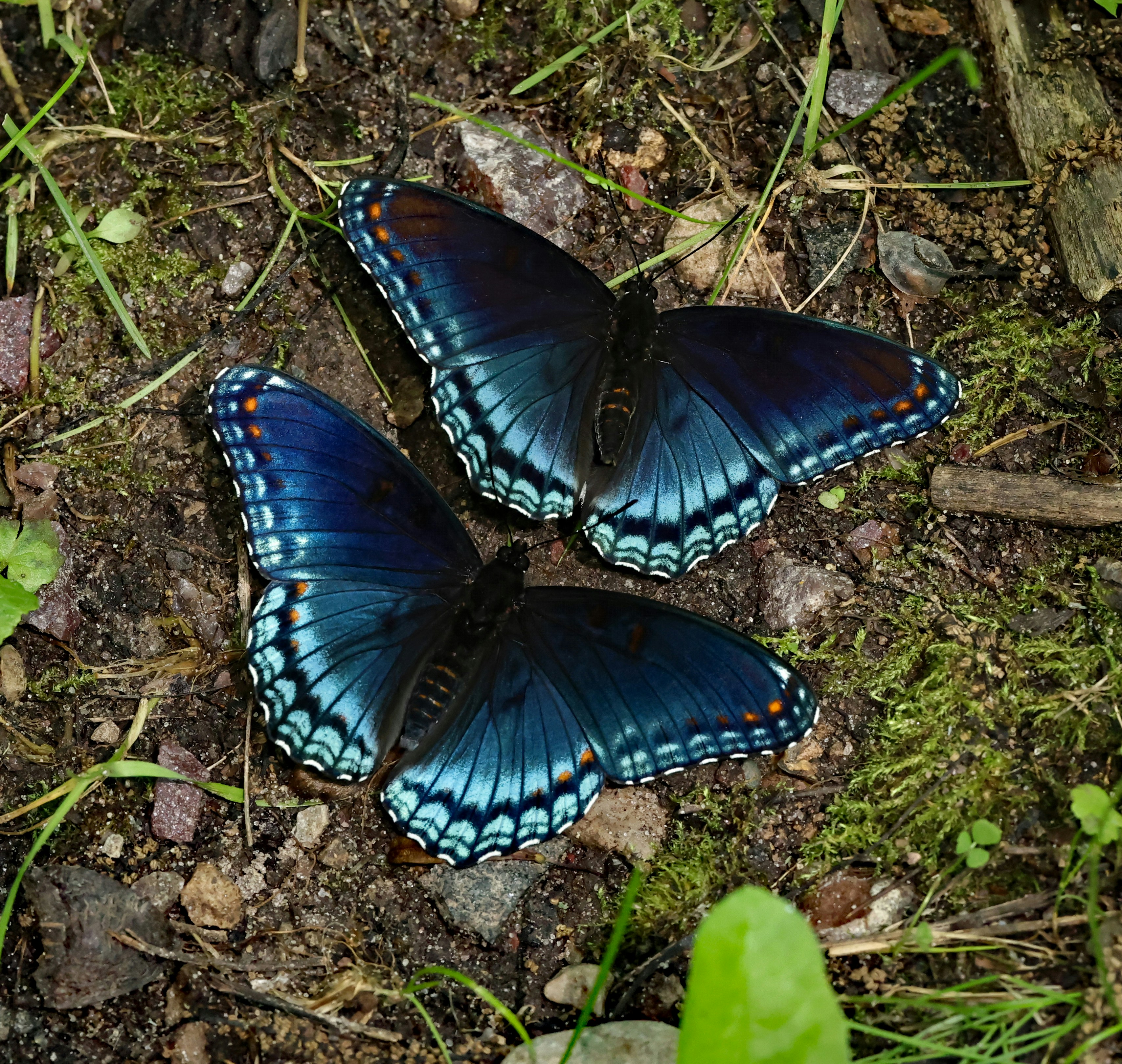 Photo by telliottmbamsc