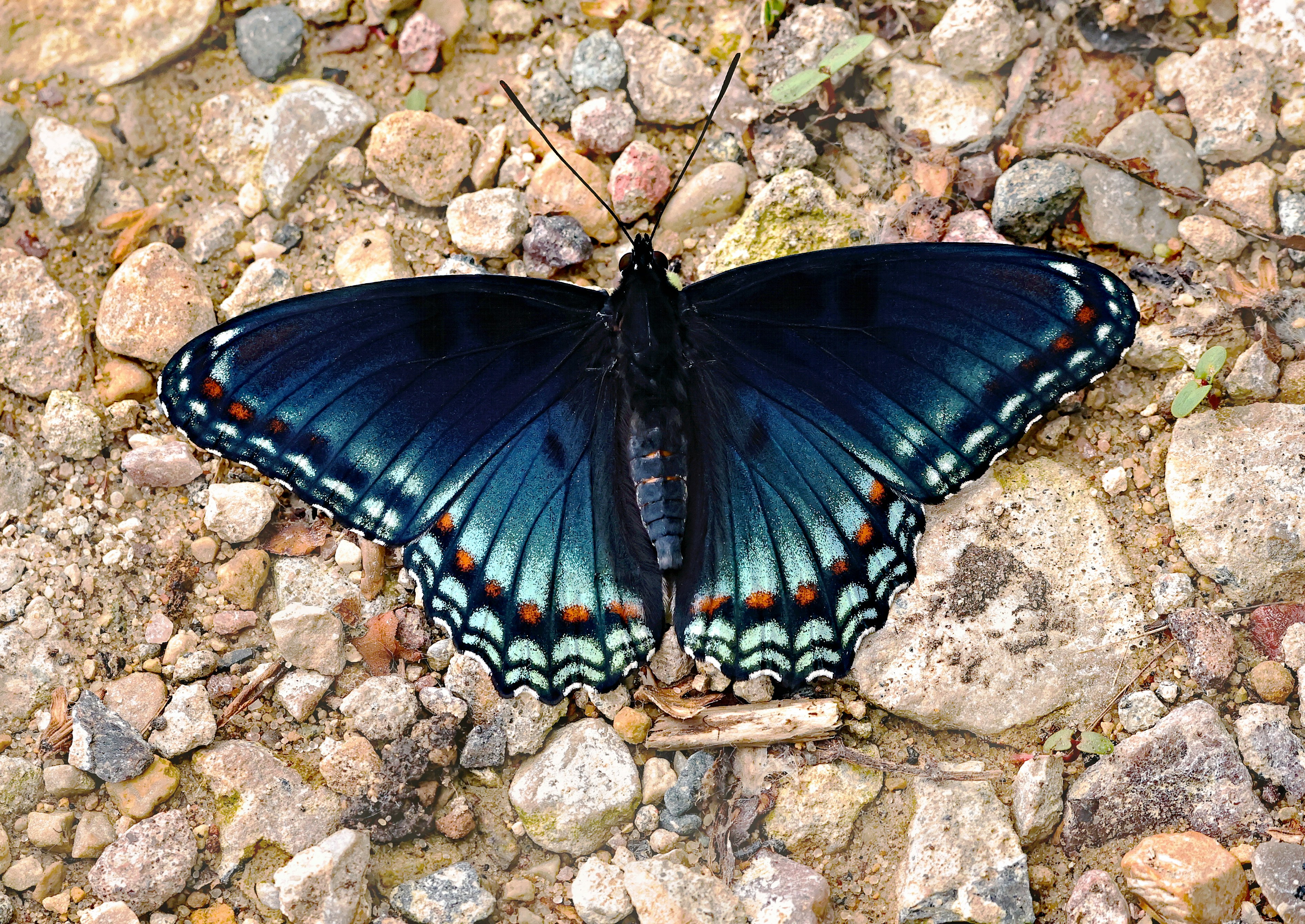 Photo by telliottmbamsc