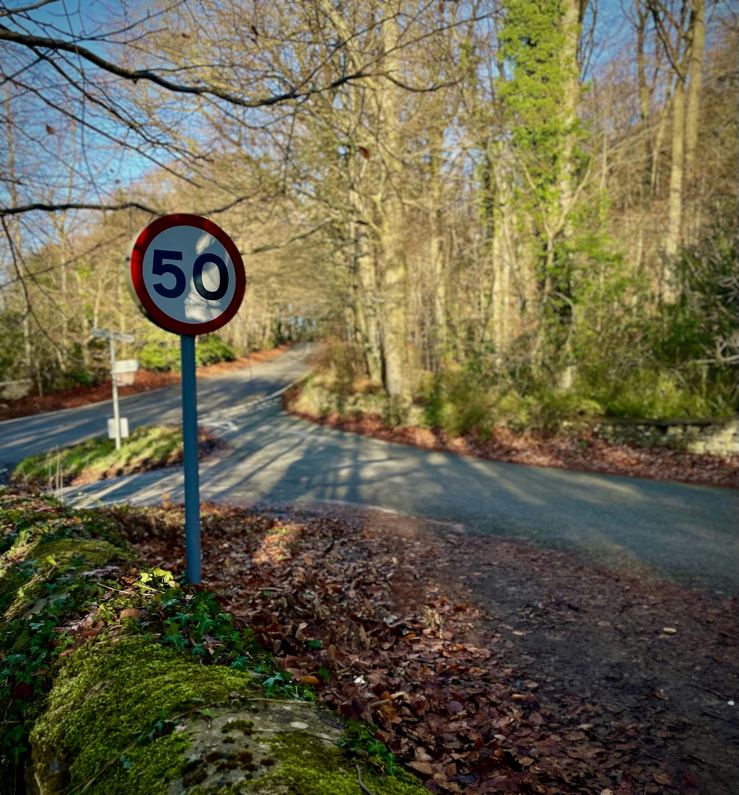 A street sign on the side of a road