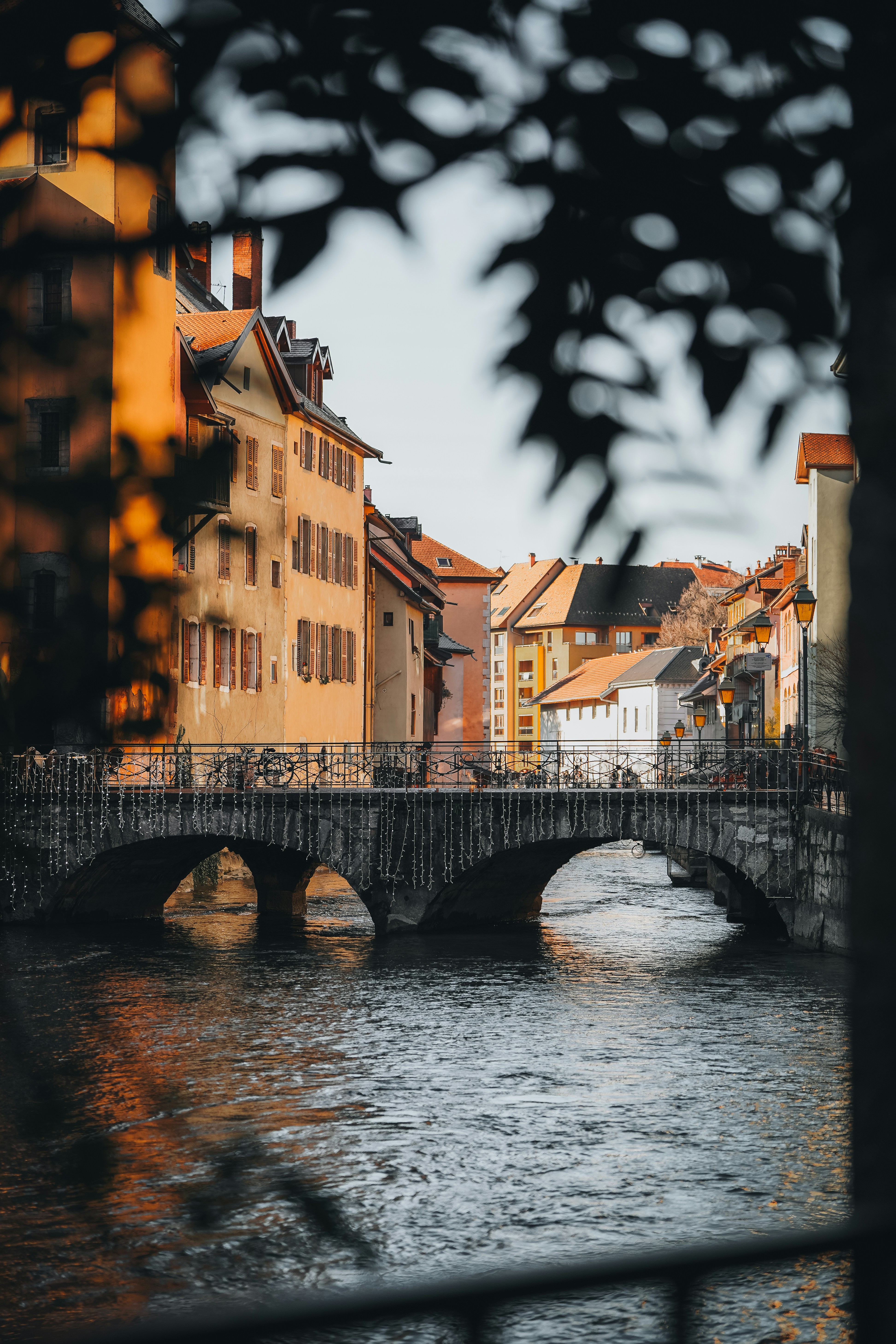 Photo by kevin_charit