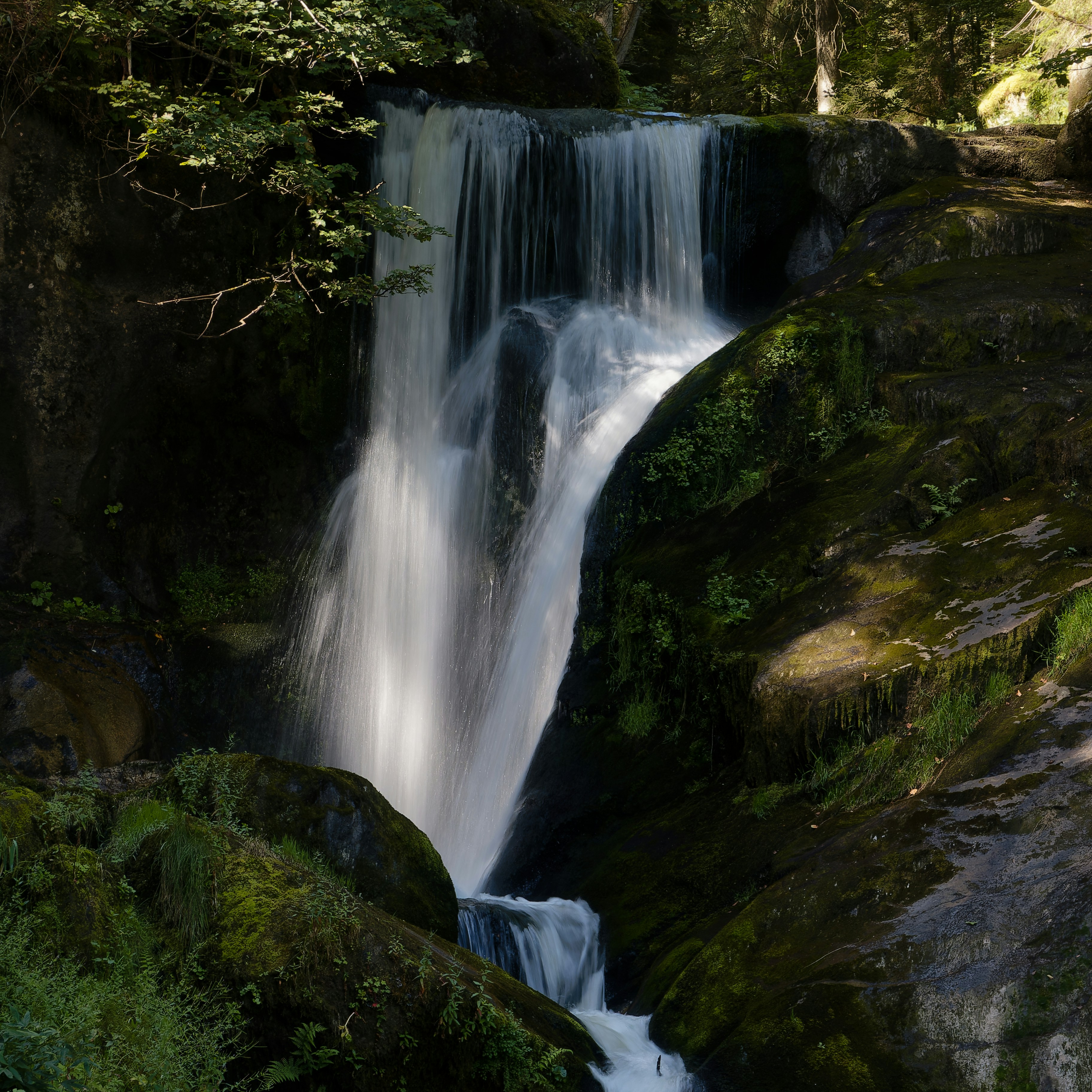 A small waterfall in the middle of a forest