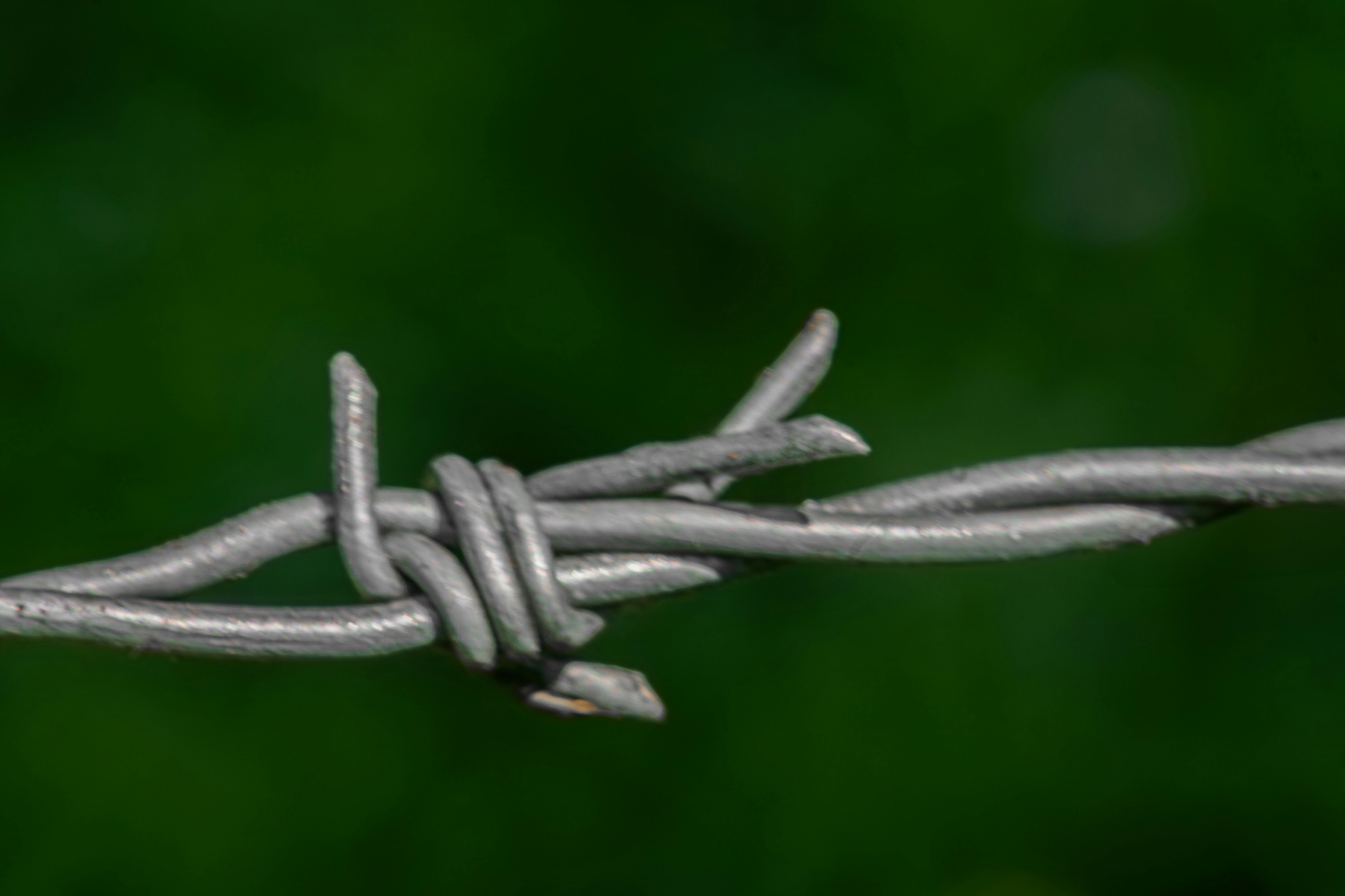 A close up of a barbed wire with a blurry background