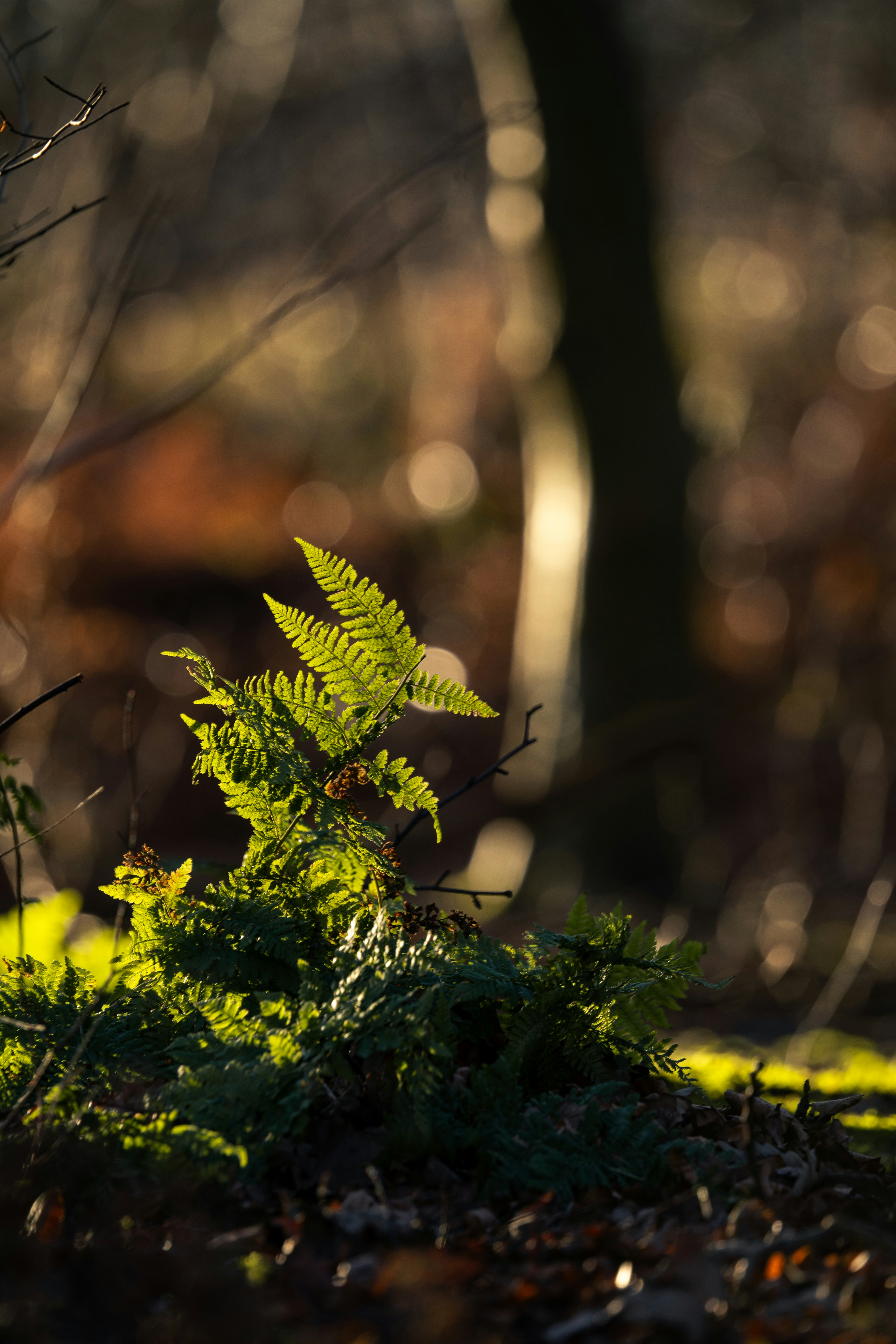 Photo by twowheelutopia