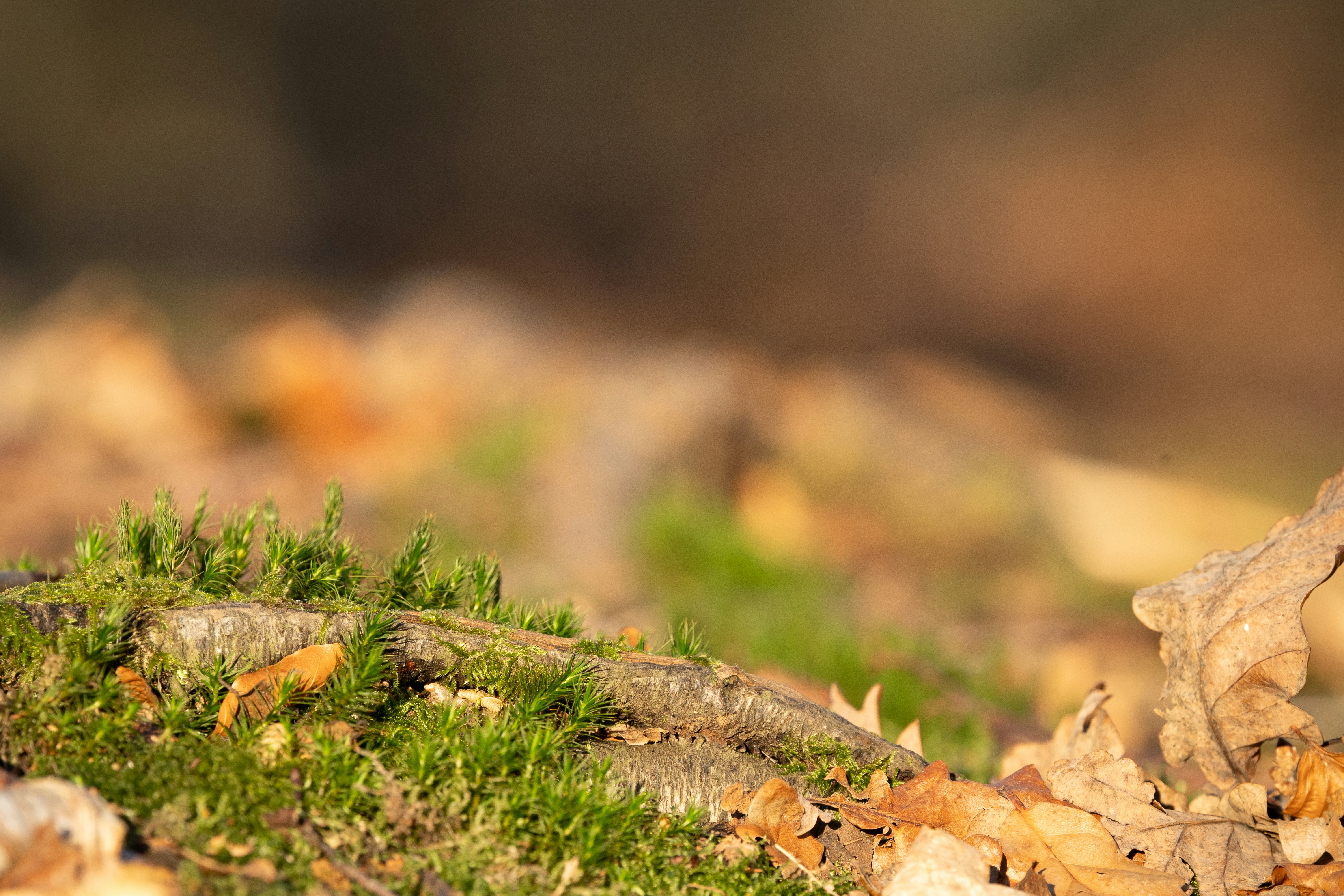 Photo by twowheelutopia