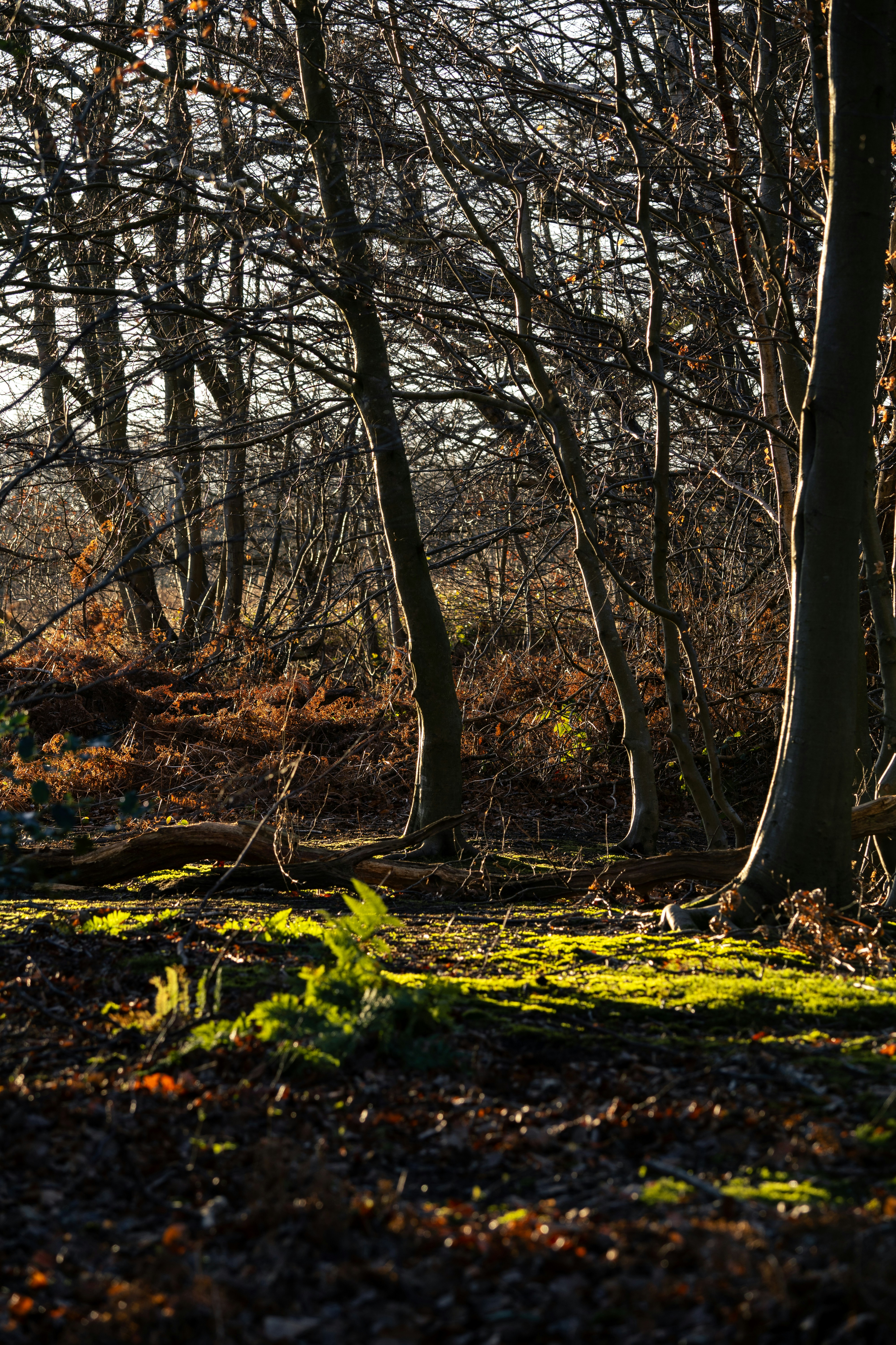 Photo by twowheelutopia