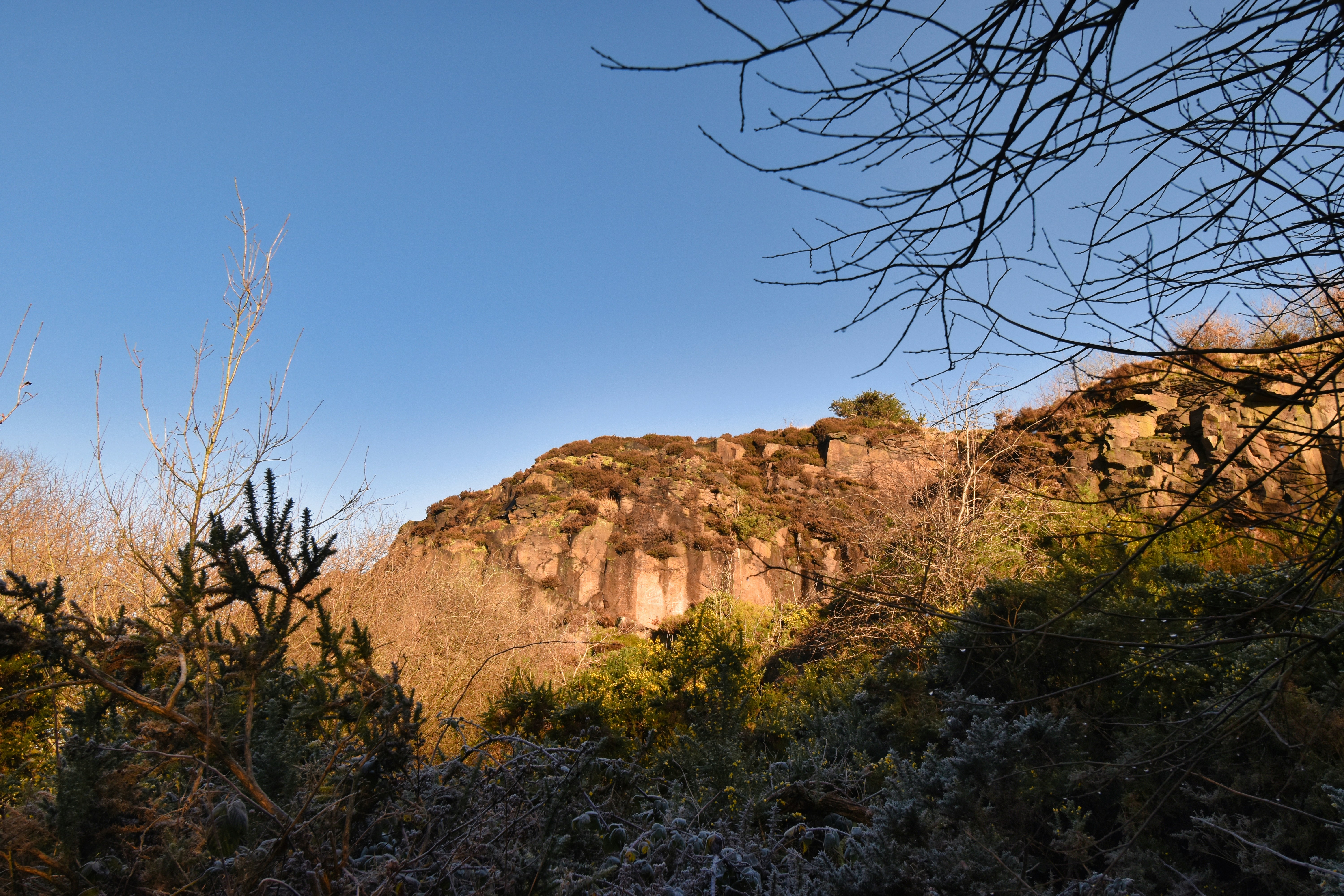 Photo by andrew_hall