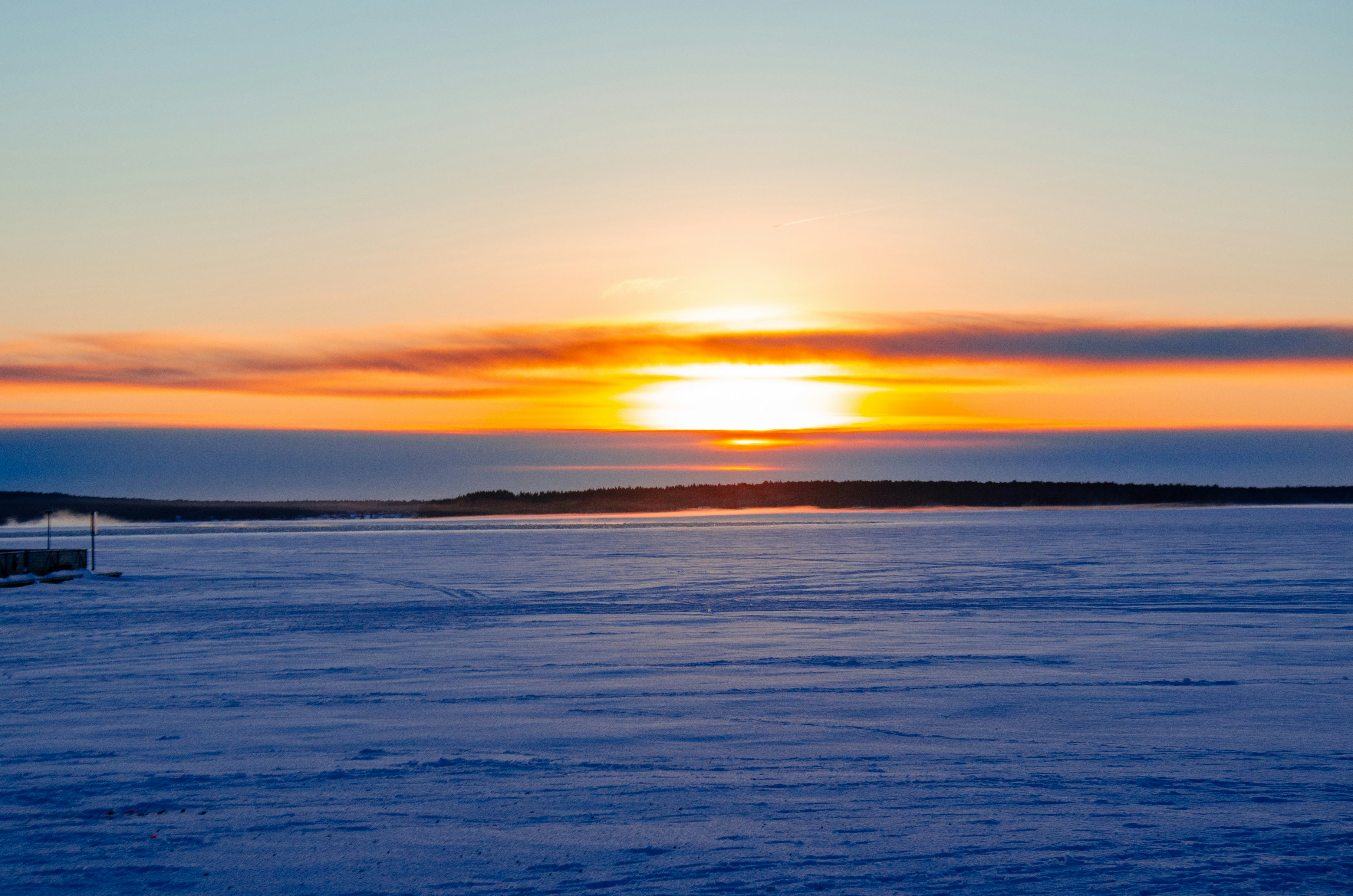 Cold Glass, Sharp Light: A Photographer's Field Guide to Shooting Polar Bears in the High Arctic
