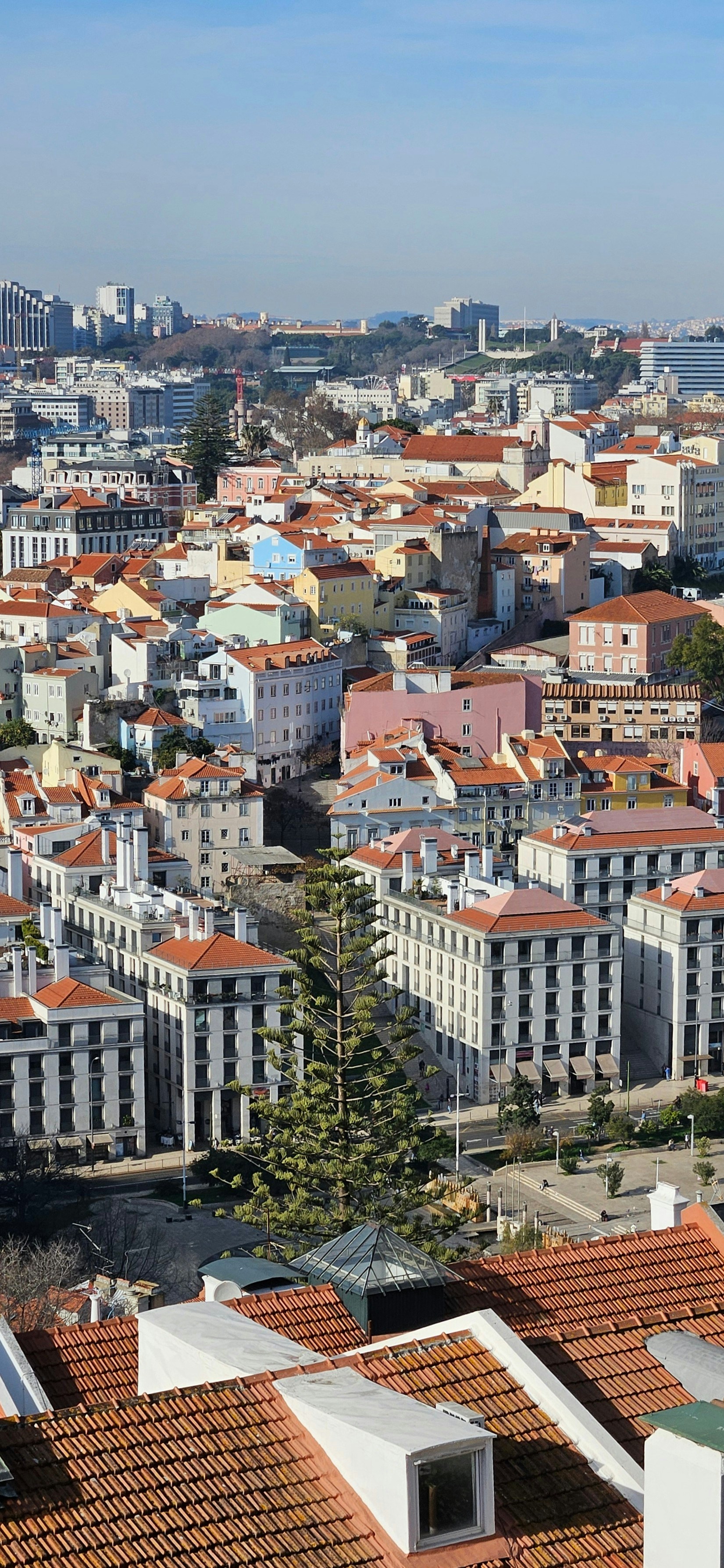 Photo by ronak_ramnani