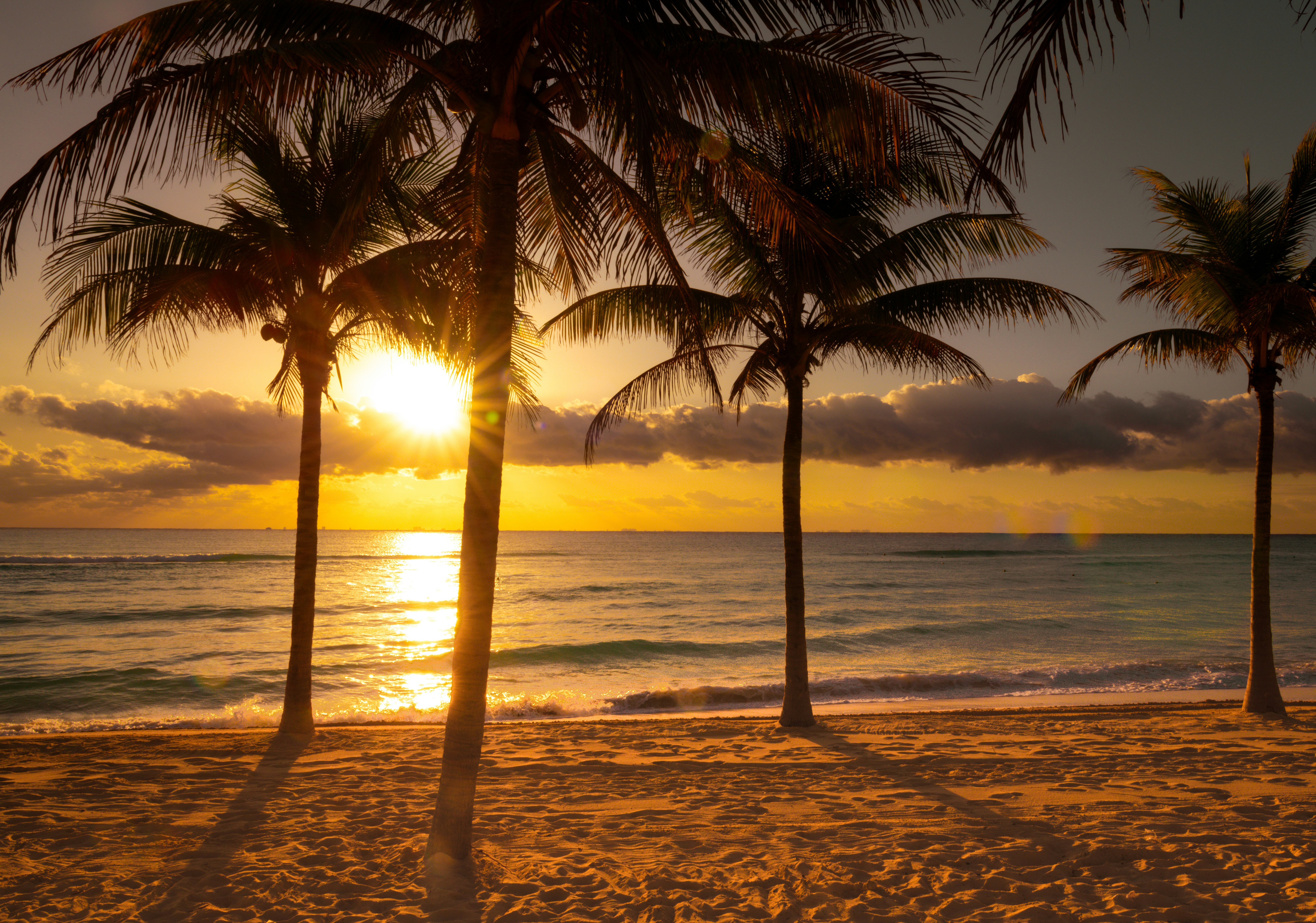 Photo by sriniunsplash