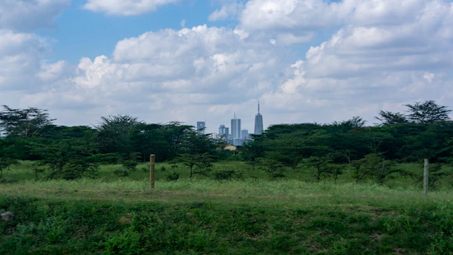 12-Day Kenya Budget Backpacking Itinerary