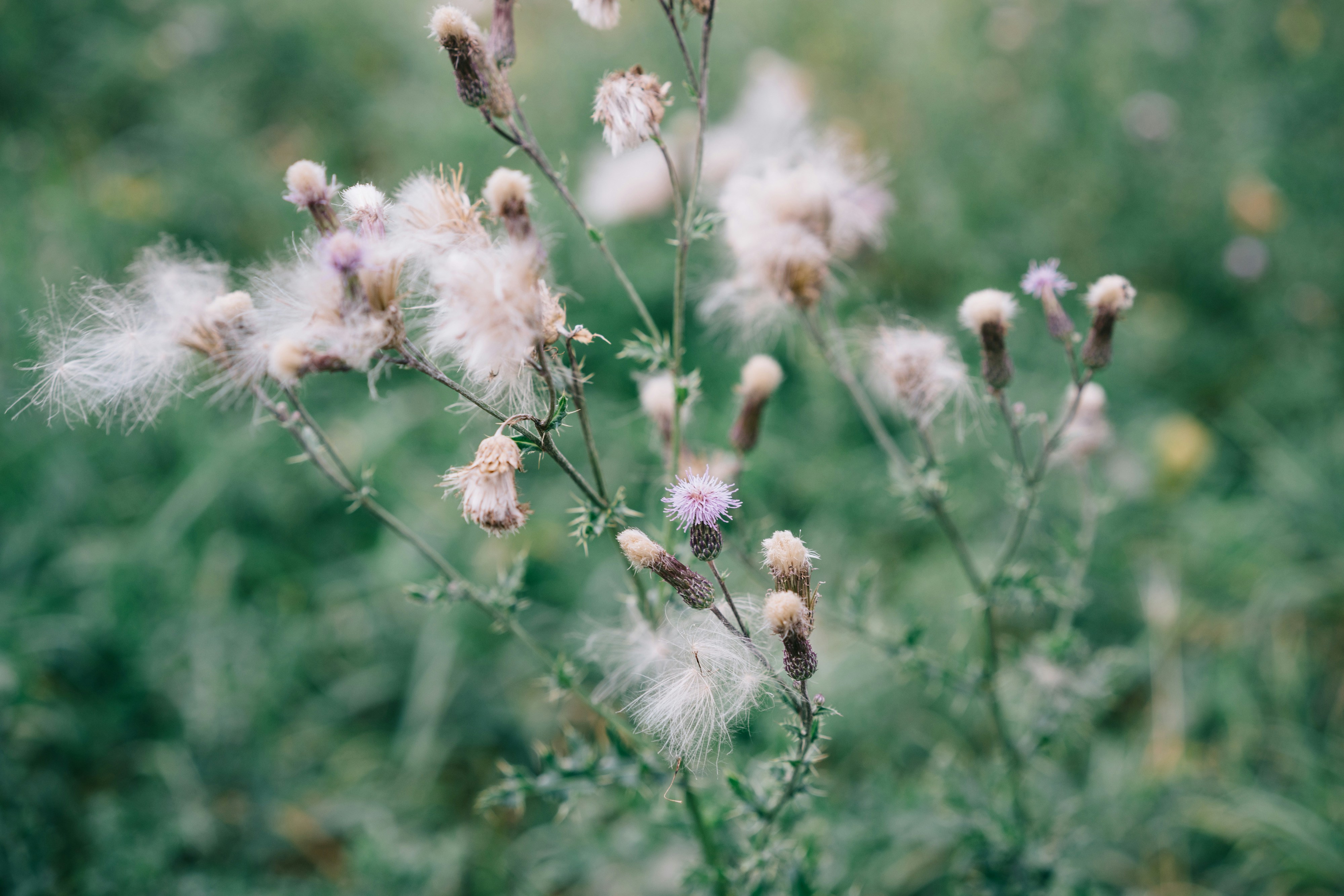 Photo by markuswinkler