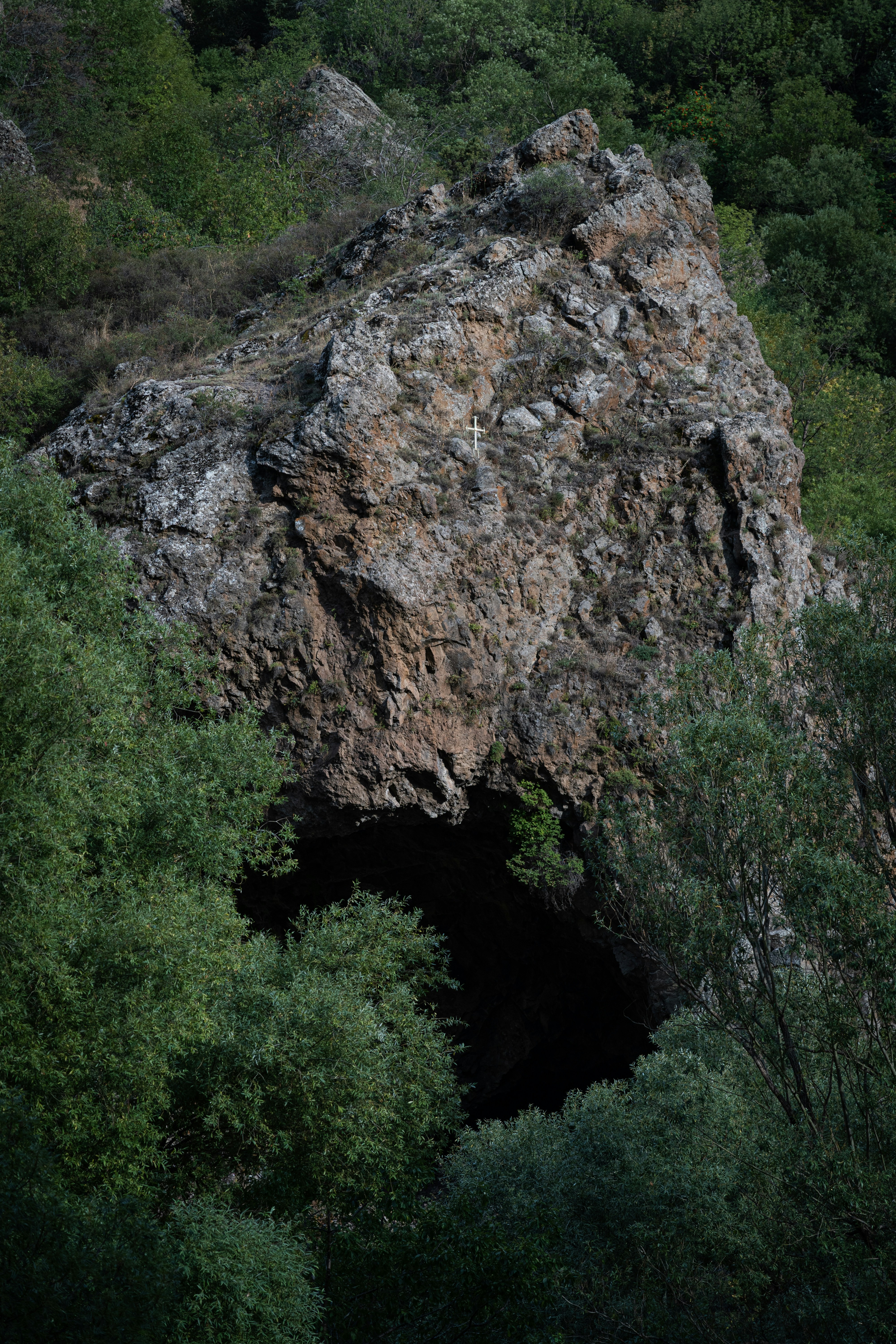 Subterranean Ecosystems and the Hunt for New Species