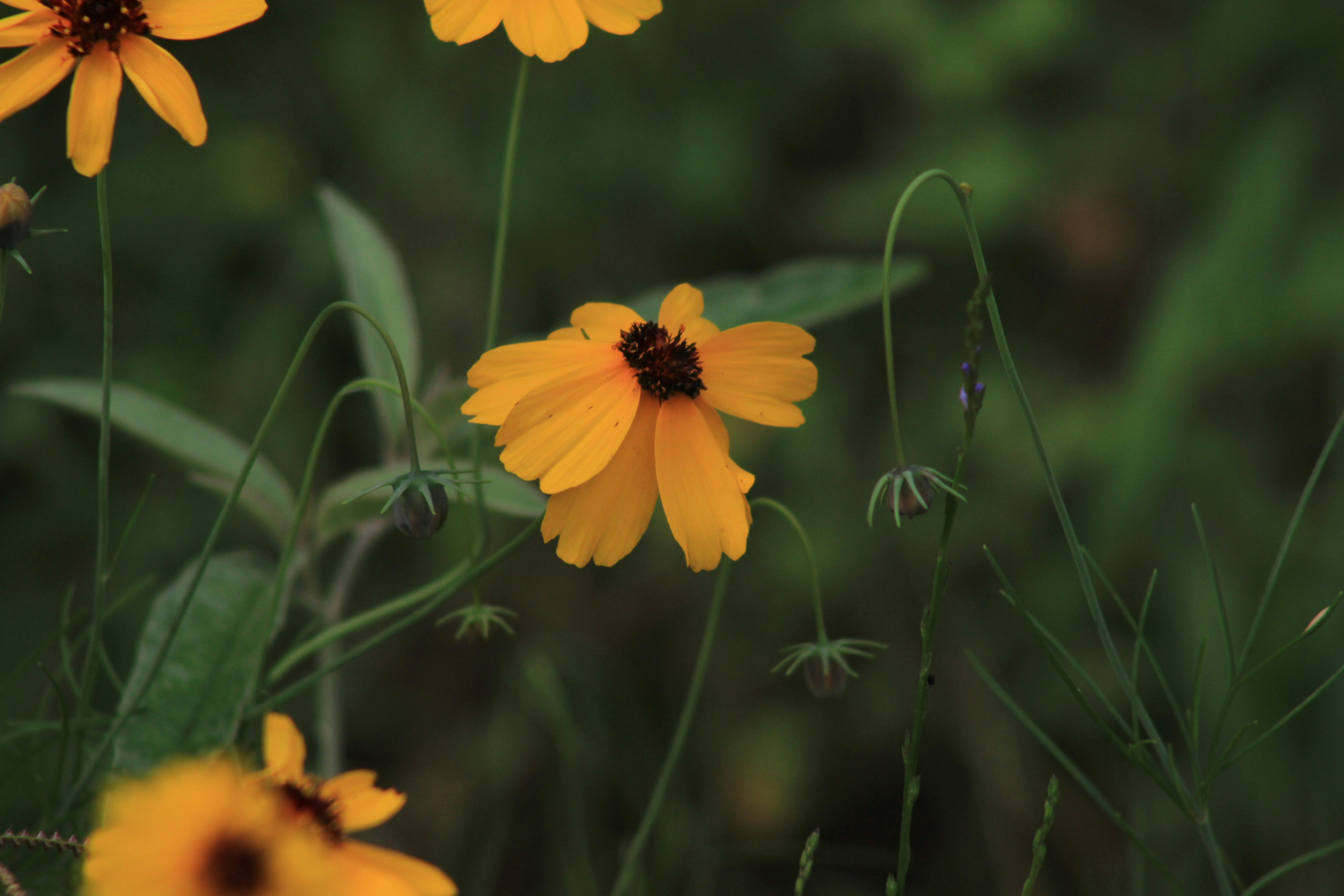 Photo by viewsofthecamera