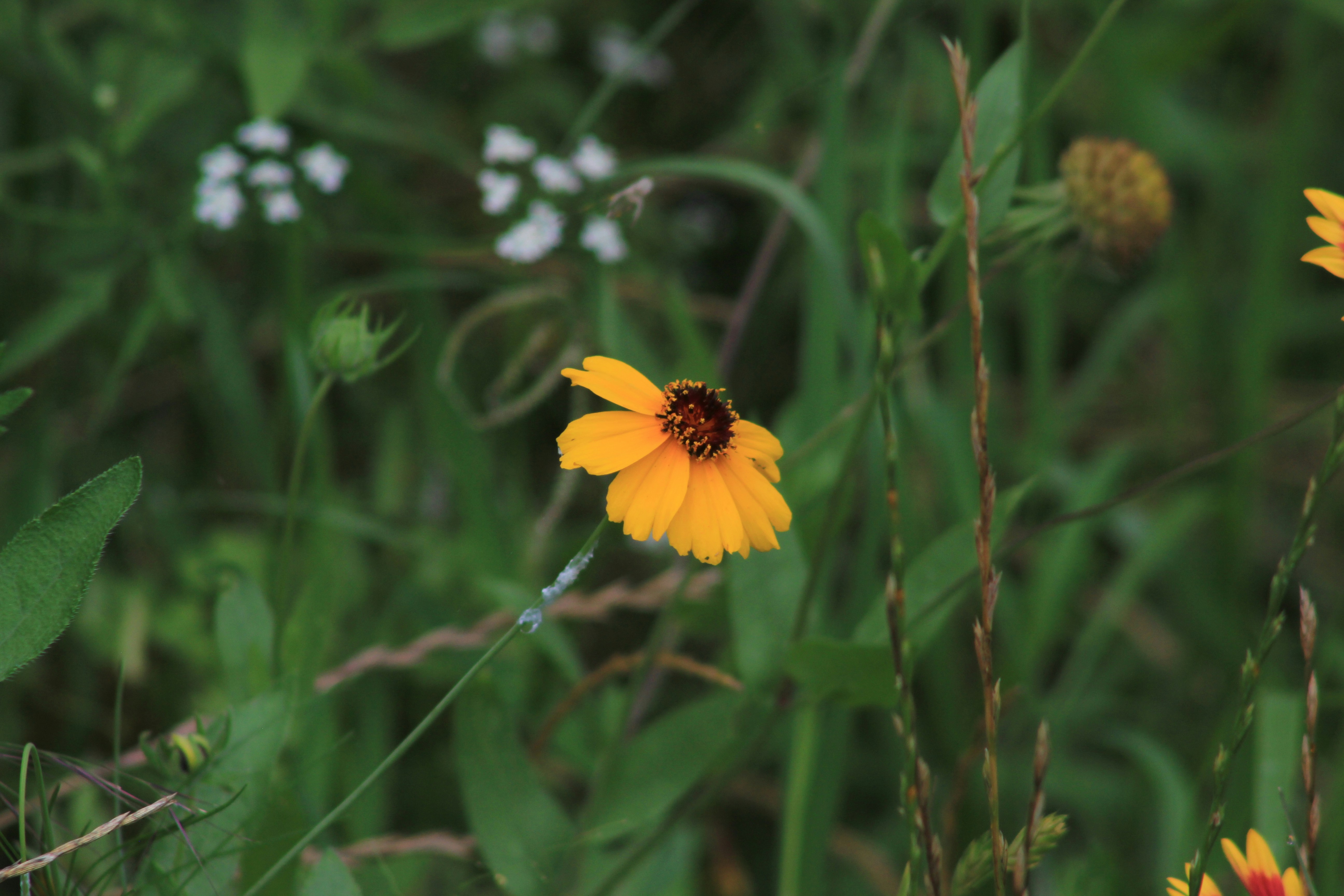 Photo by viewsofthecamera