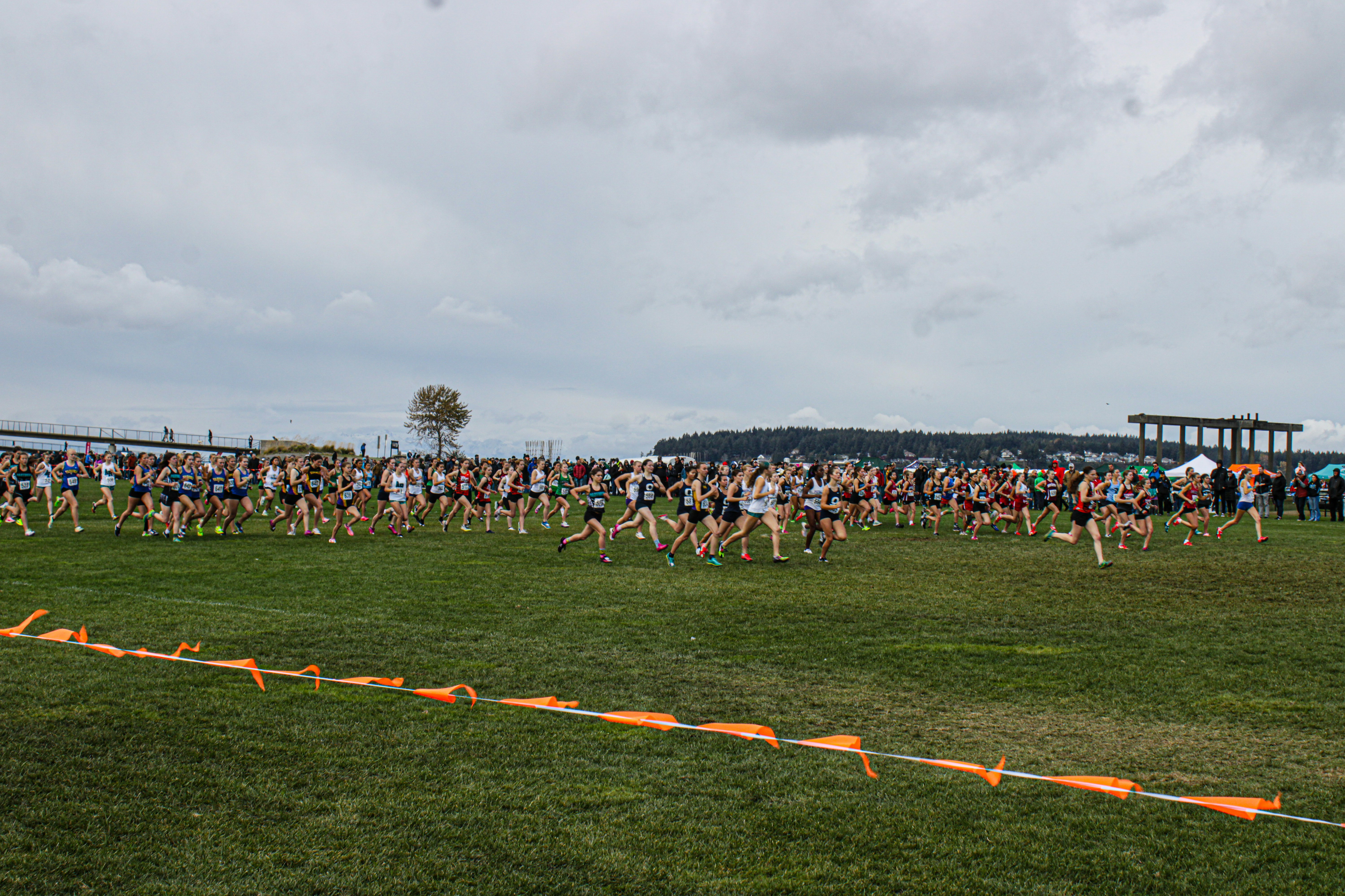 A group of people running across a lush green field