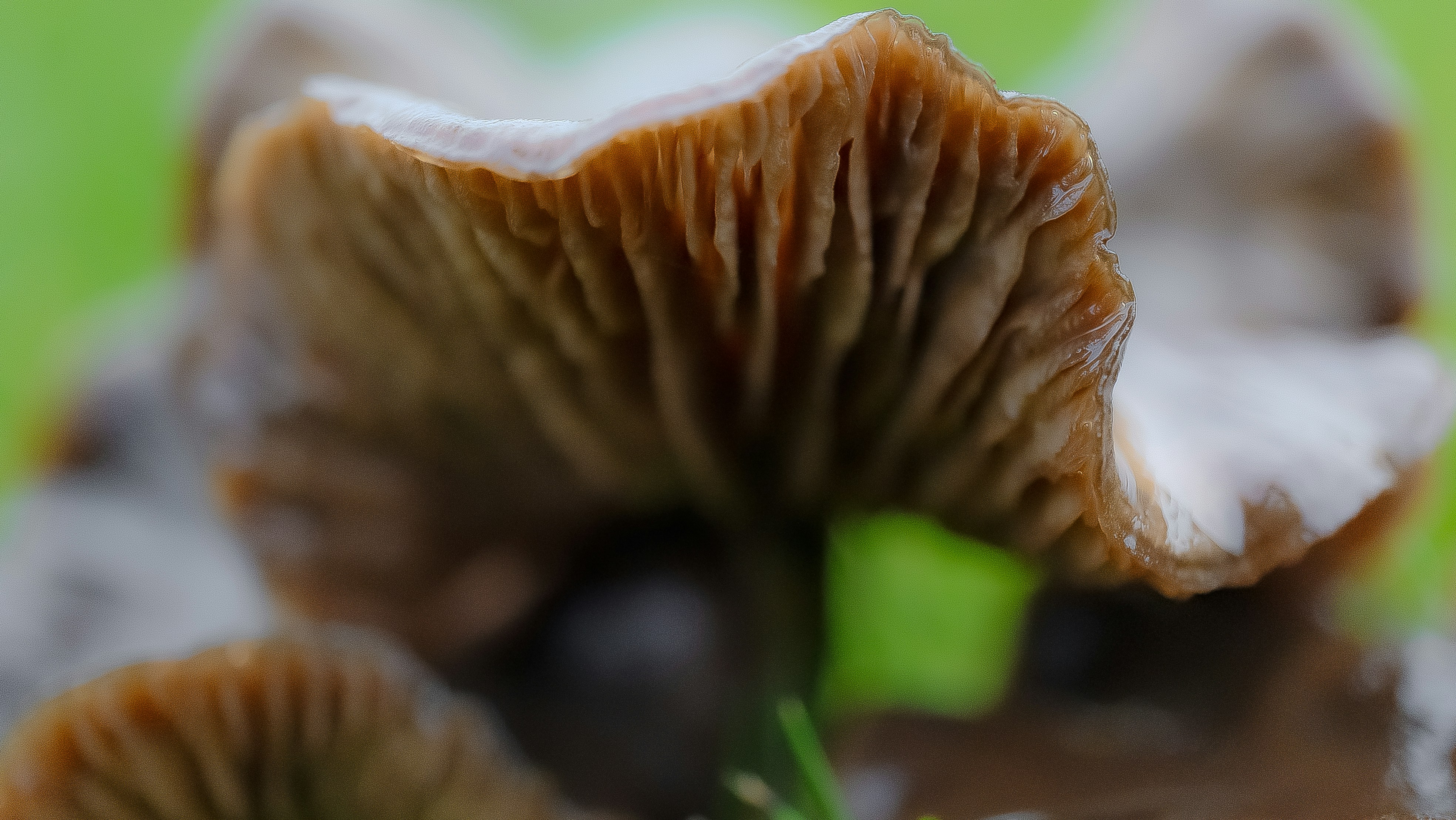 Photo by ghostdogg187