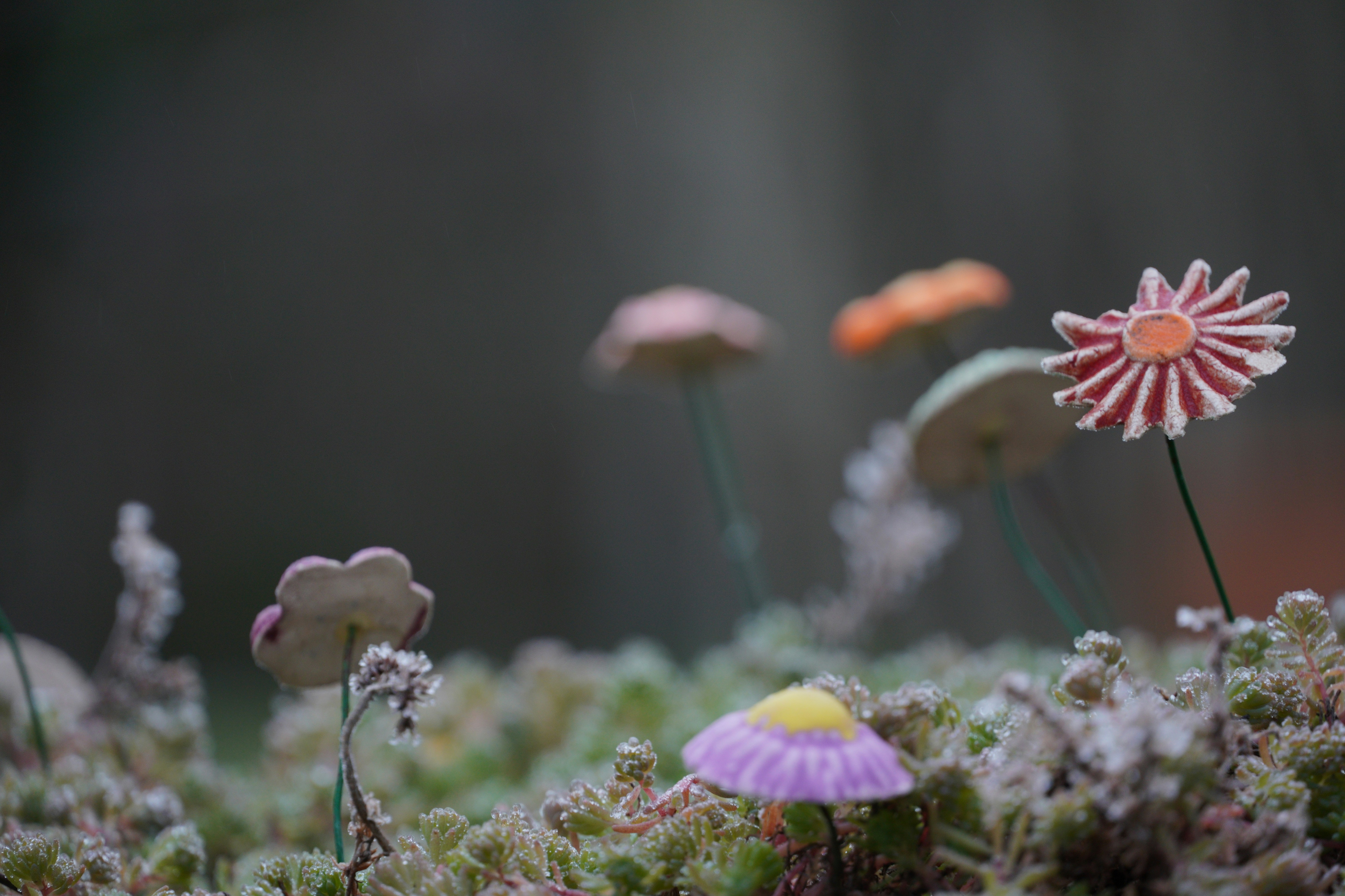 Szeged – Weather & Seasonal Patterns