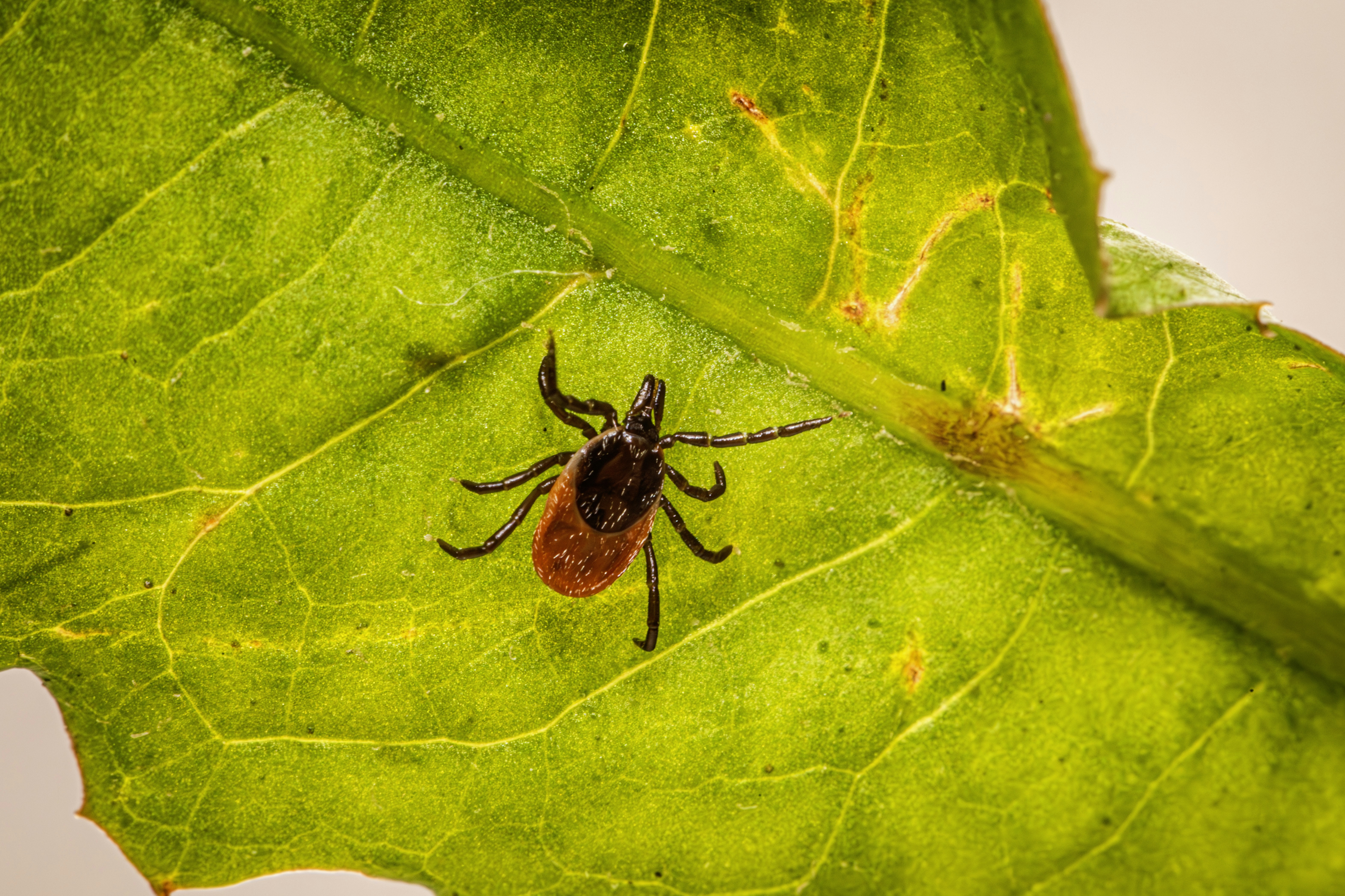 Photo by erik_karits