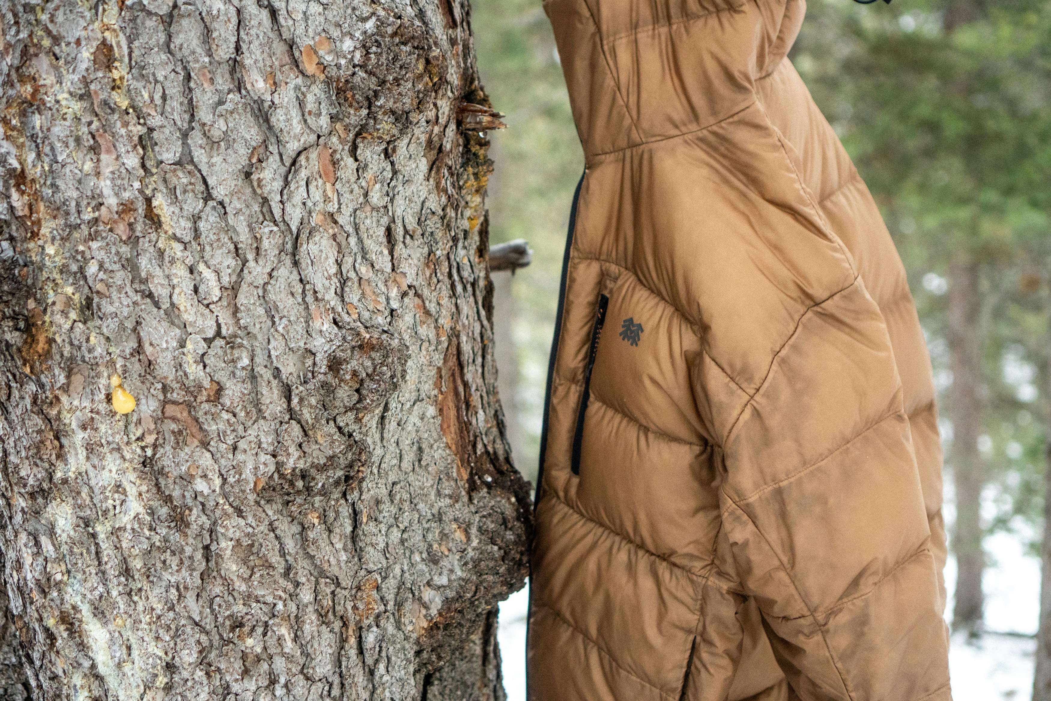 A person standing next to a tree in a parka