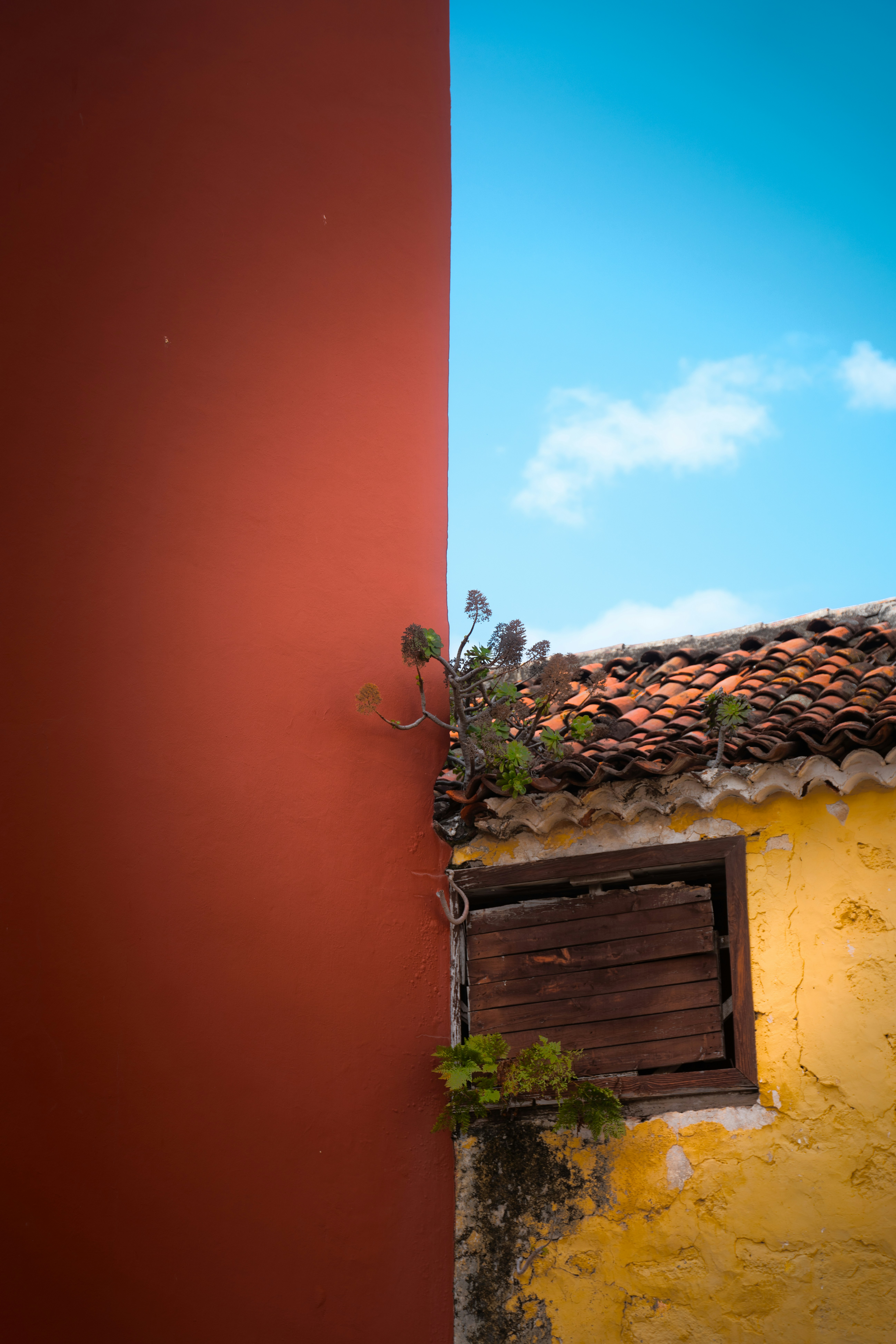 Photo by infernisvox