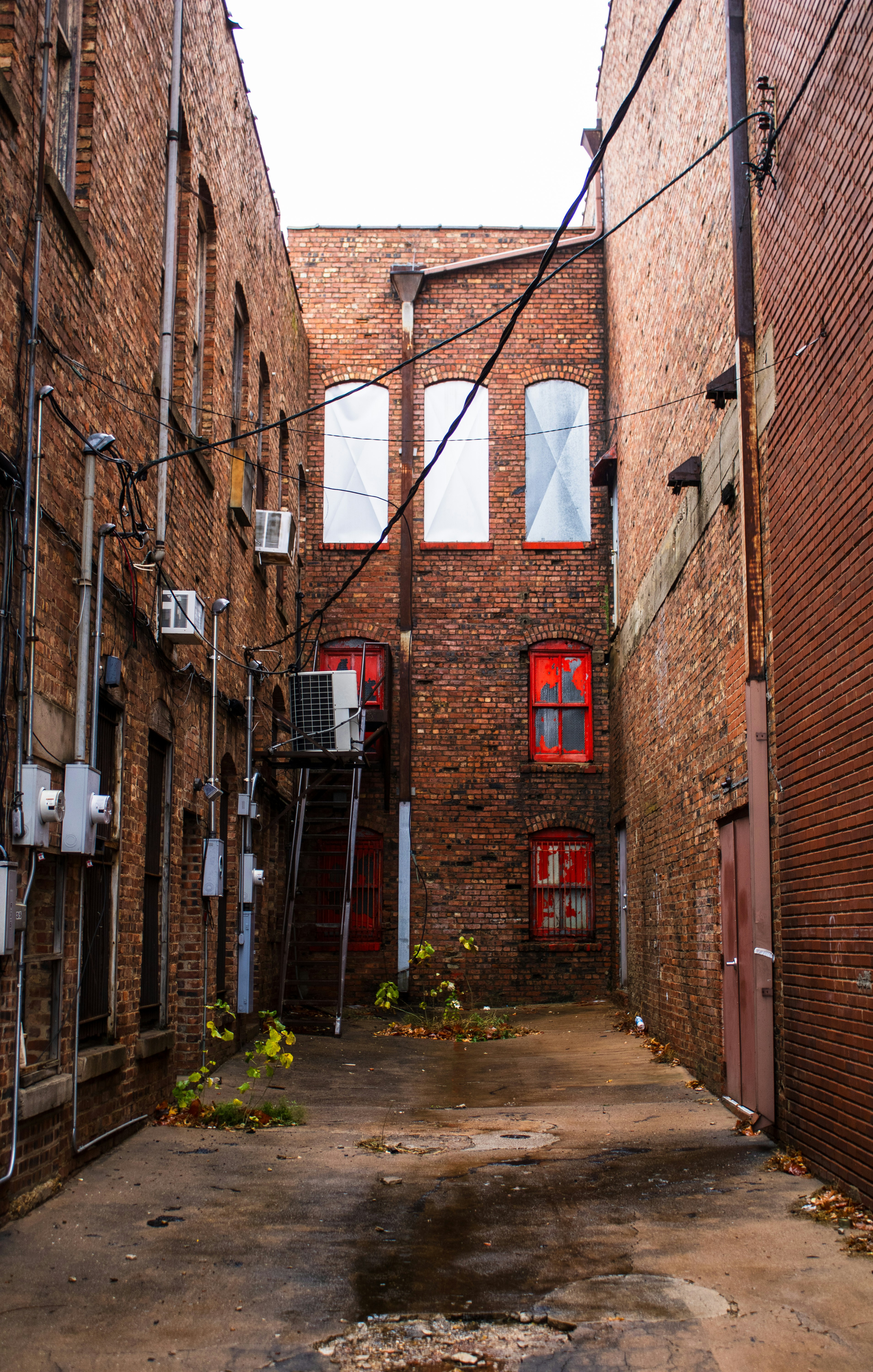 Photo by ronaldacrow