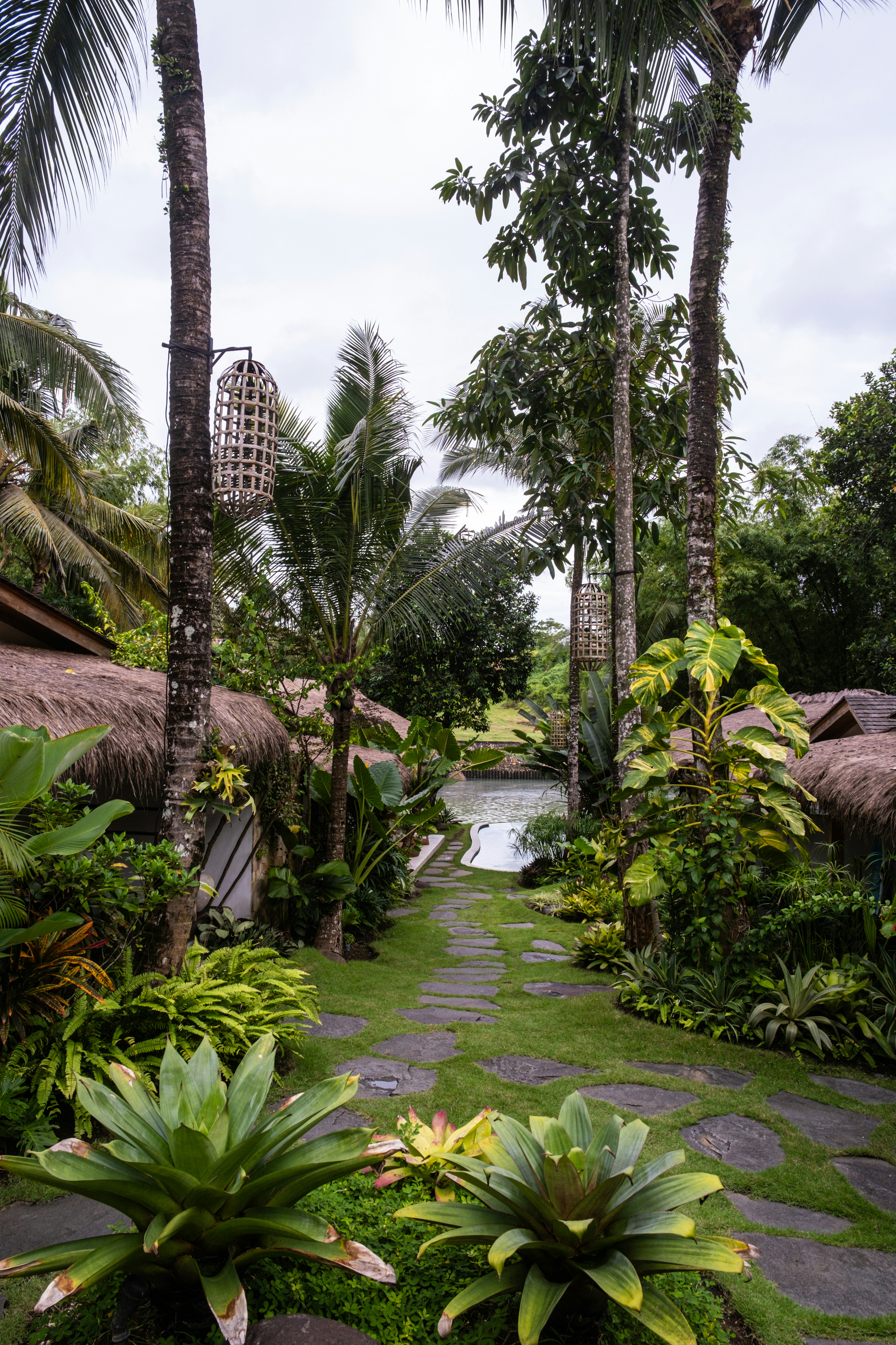 A pathway through a tropical garden with palm trees