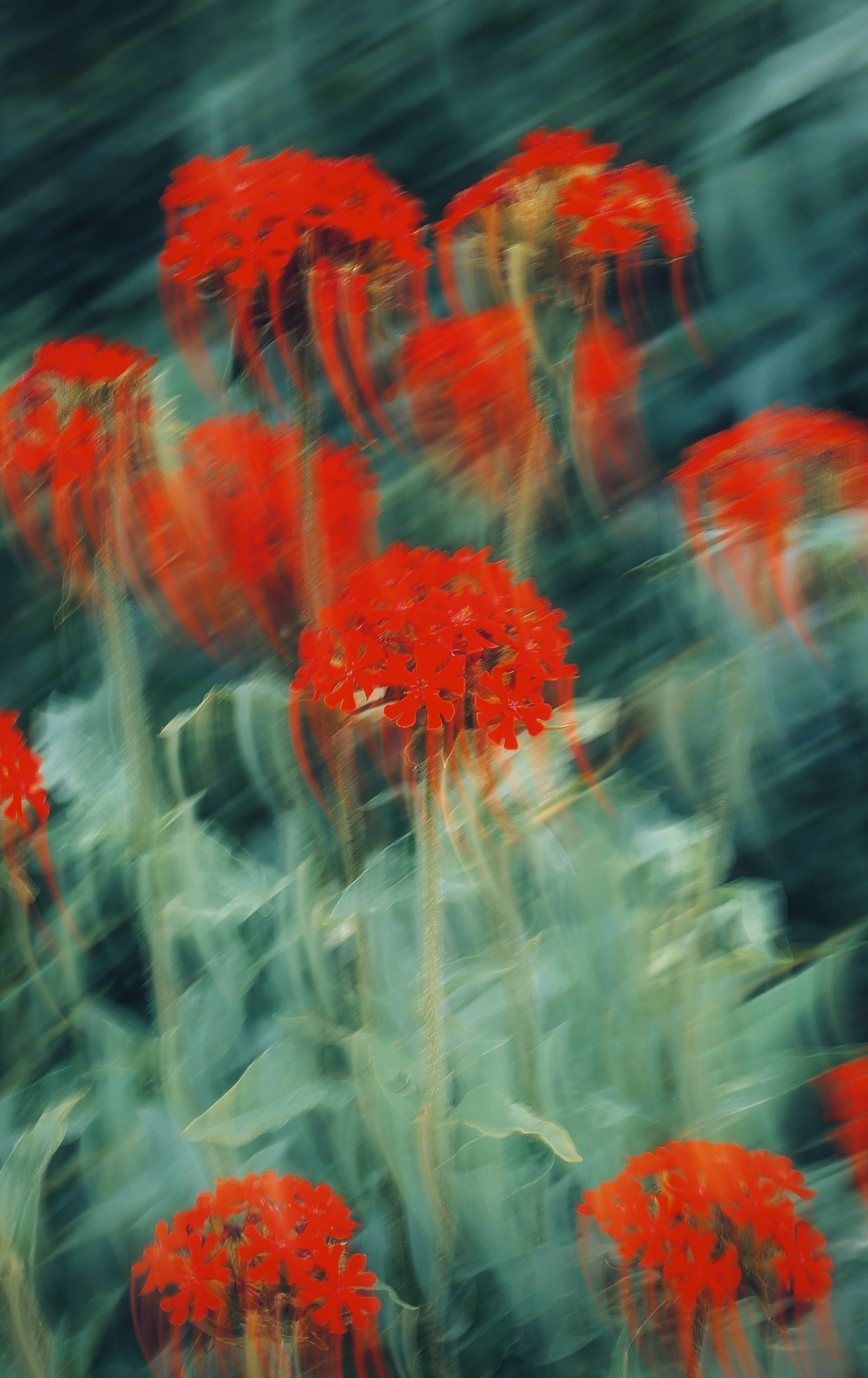 Photo by eugene_golovesov