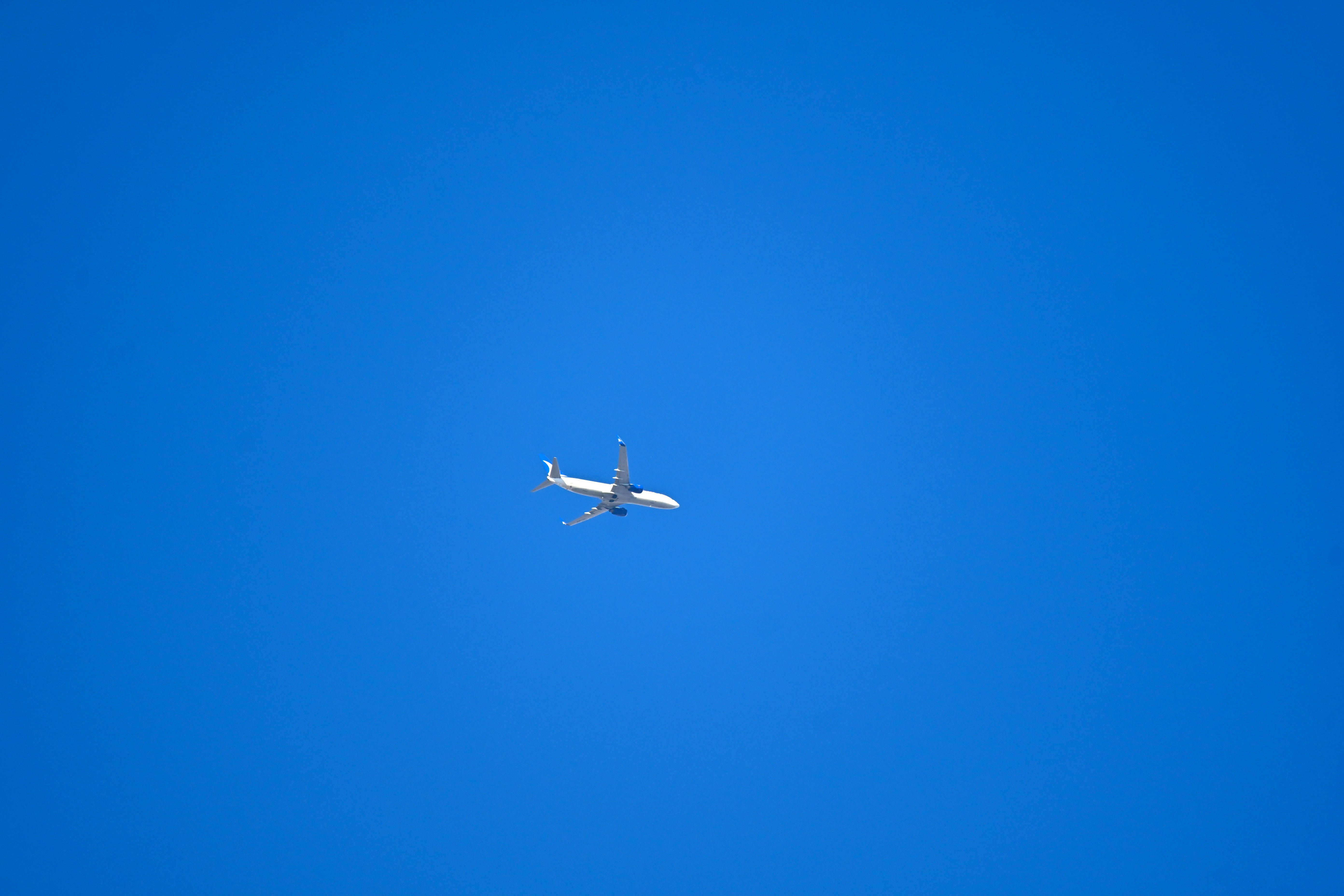 Photo by aminzabardast