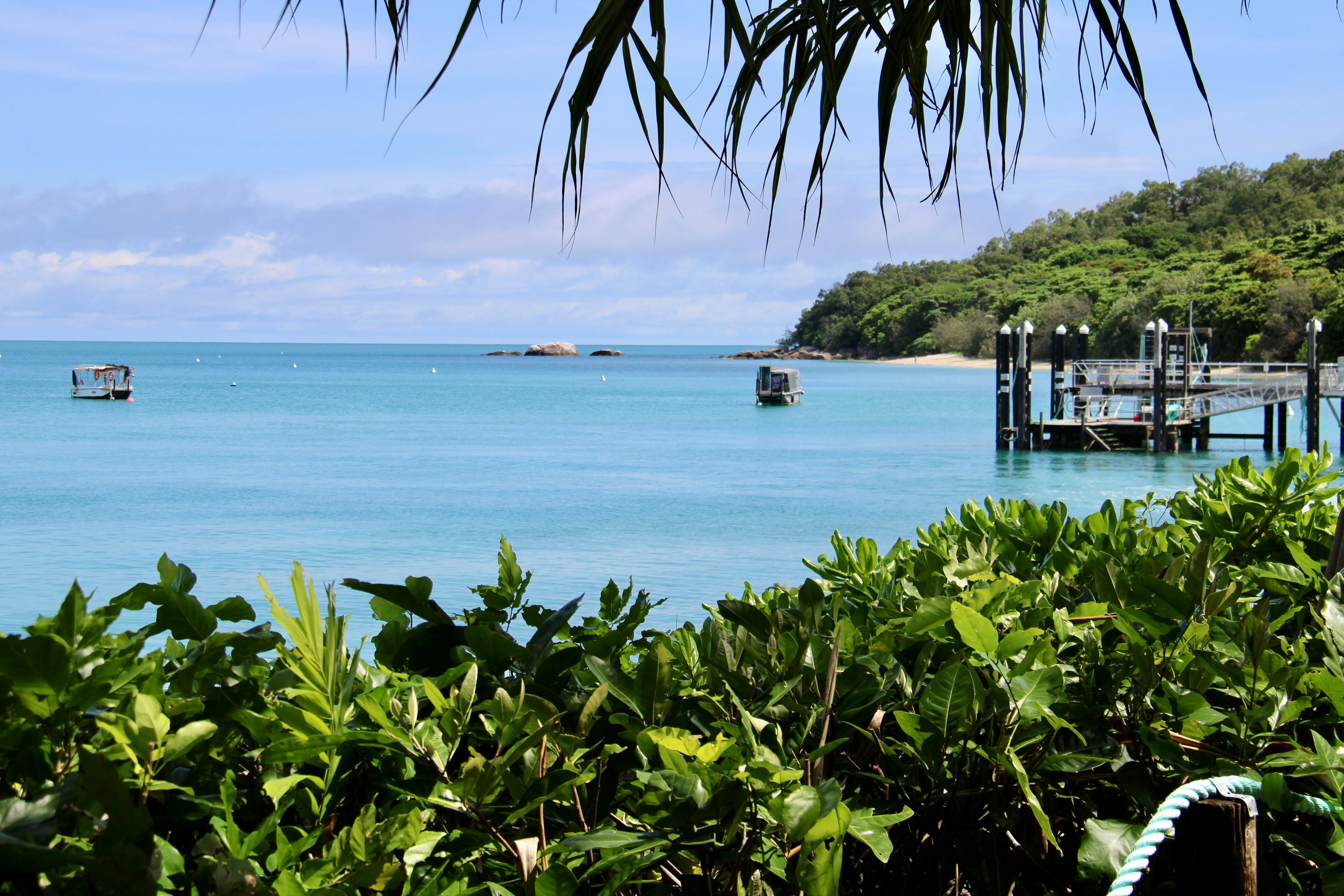 A body of water surrounded by trees and a dock