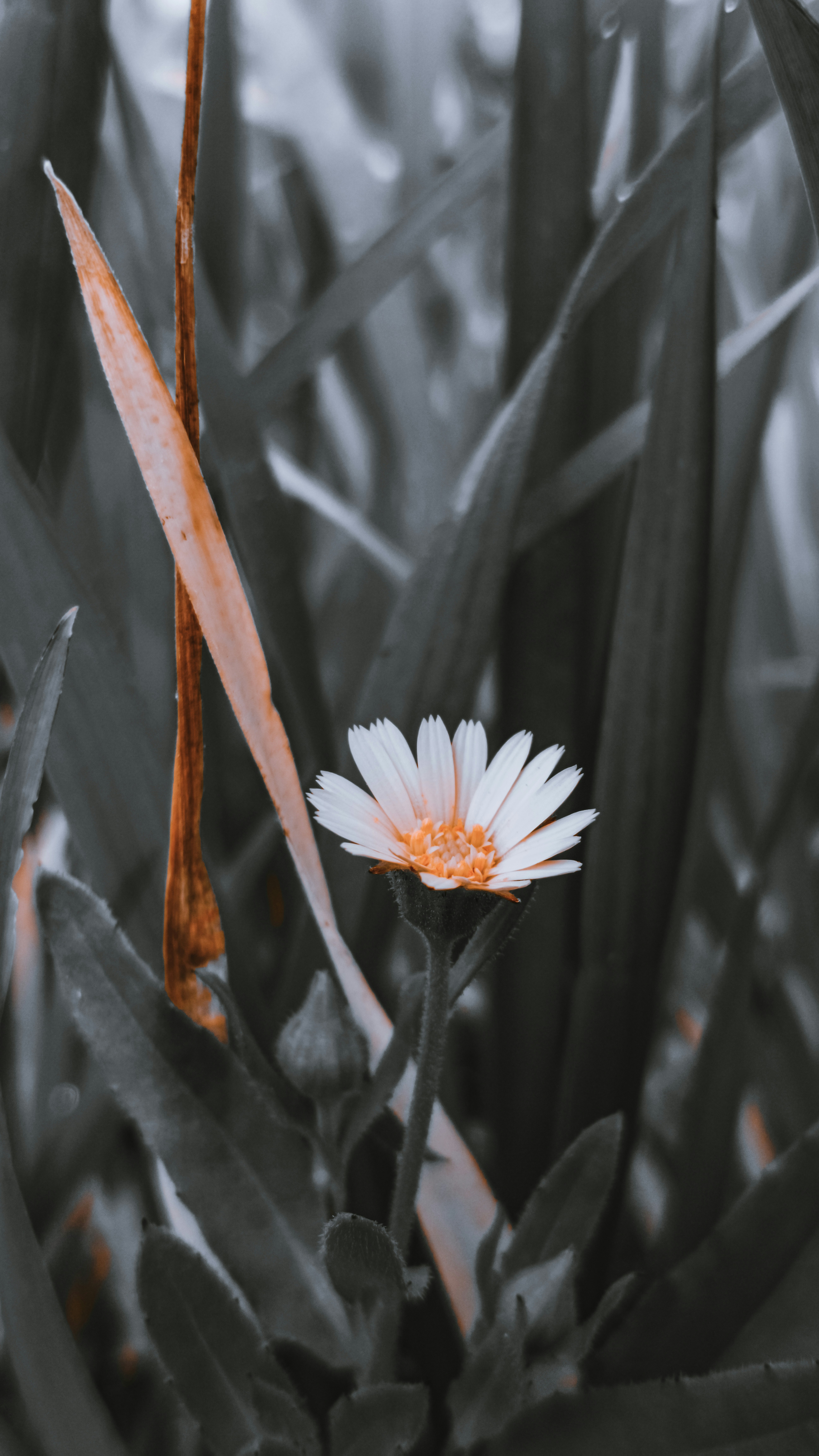 Photo by fukw0314_88