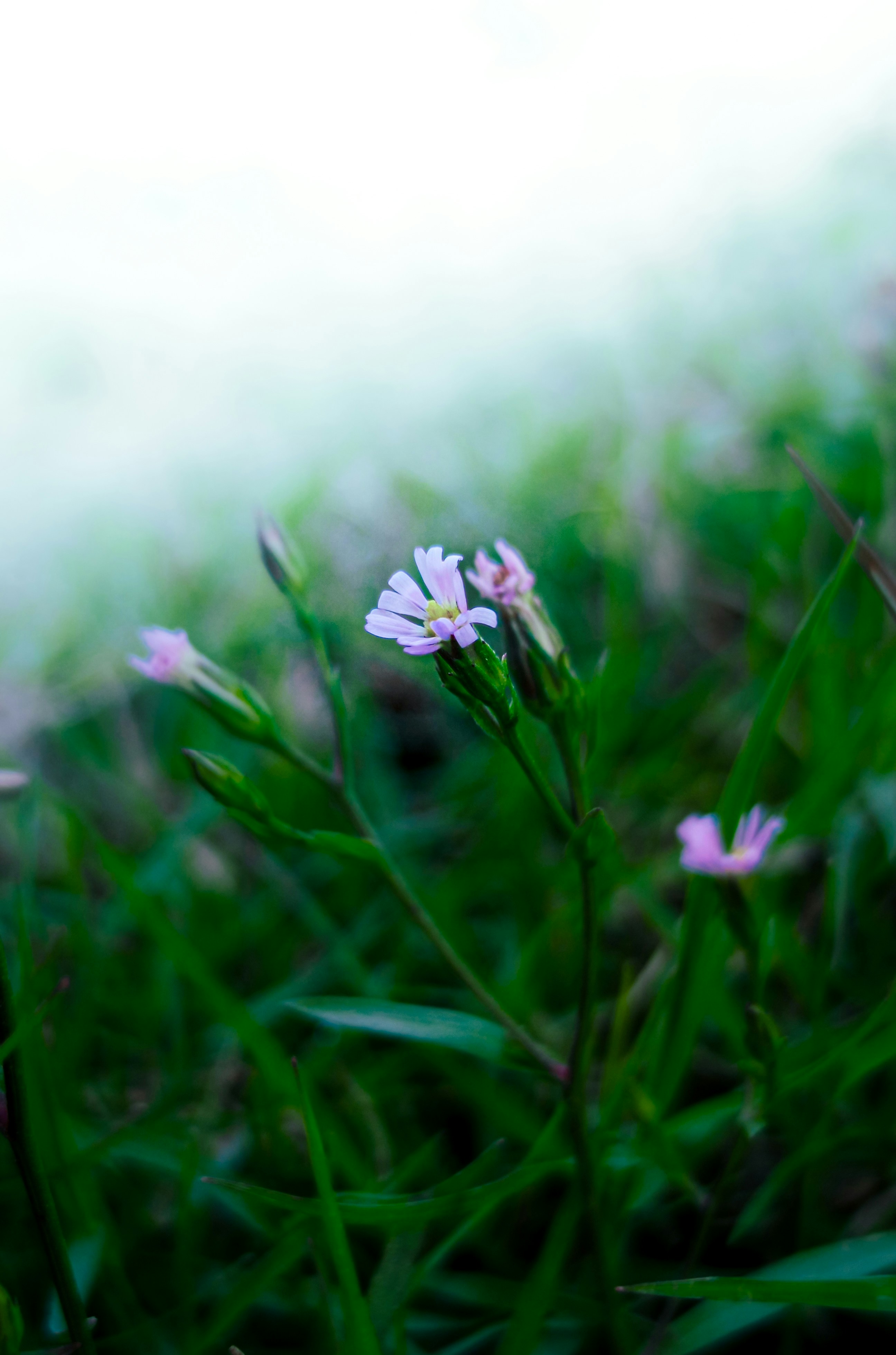 Photo by fukw0314_88