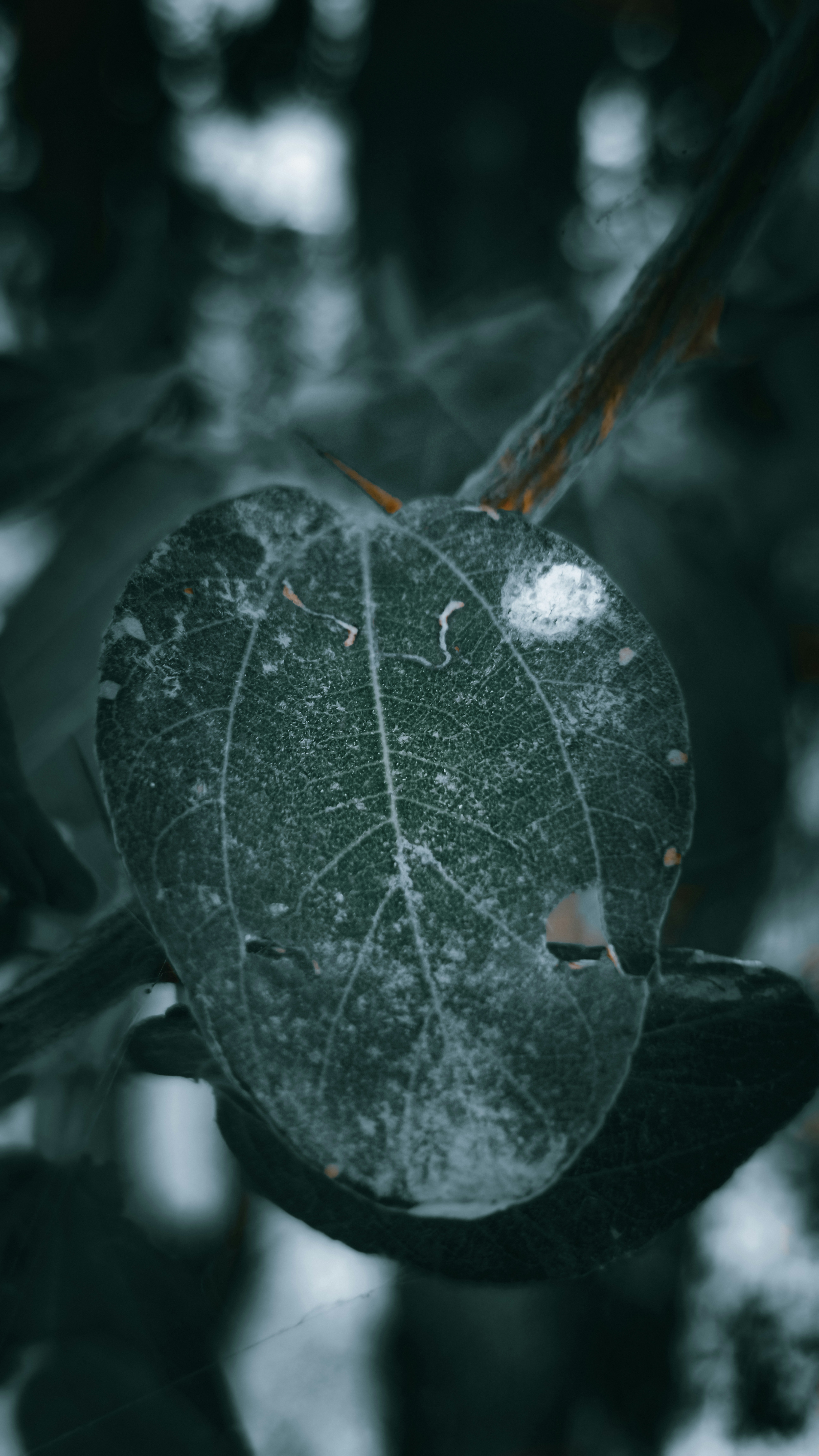 Photo by fukw0314_88