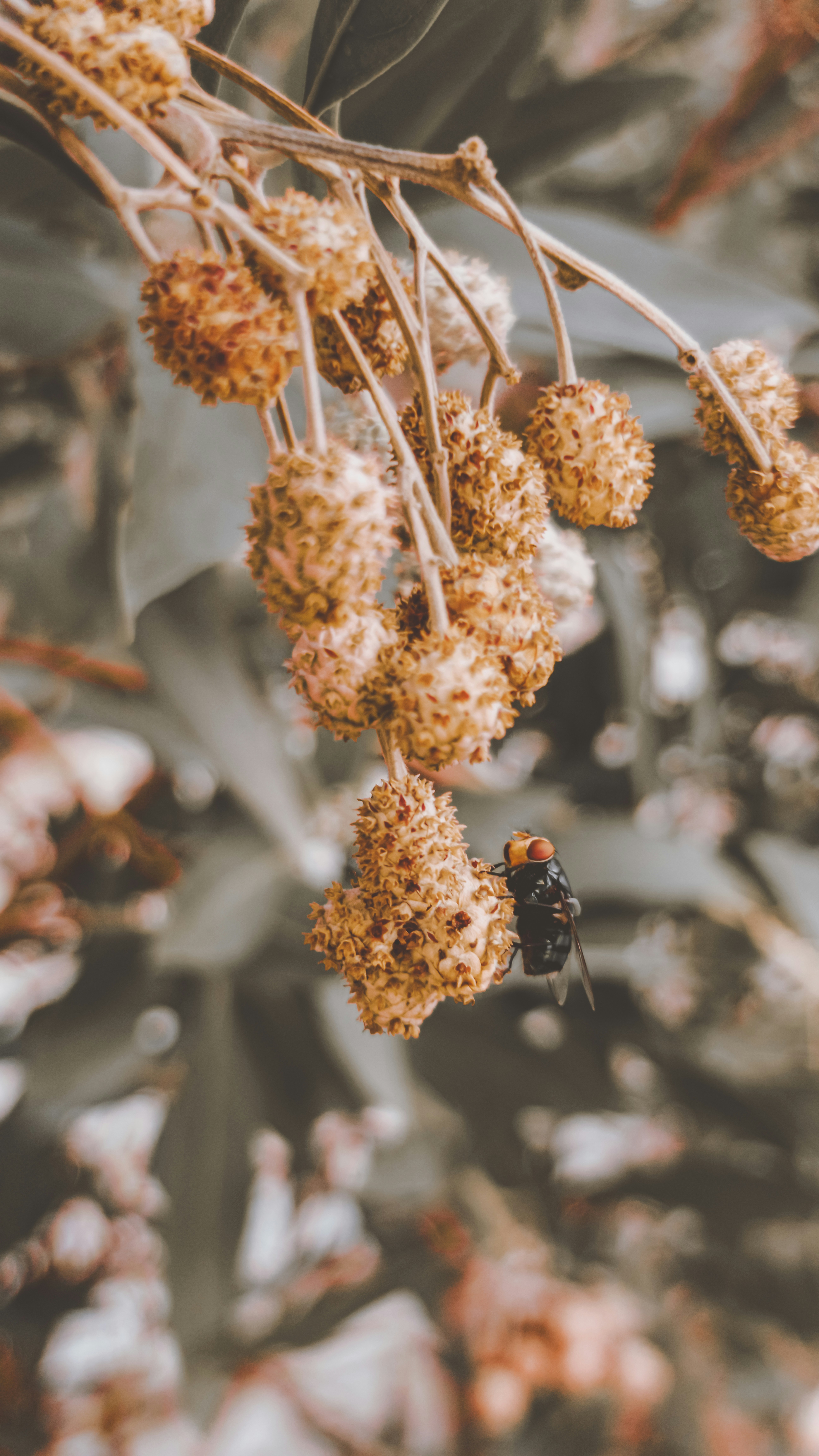 Photo by fukw0314_88