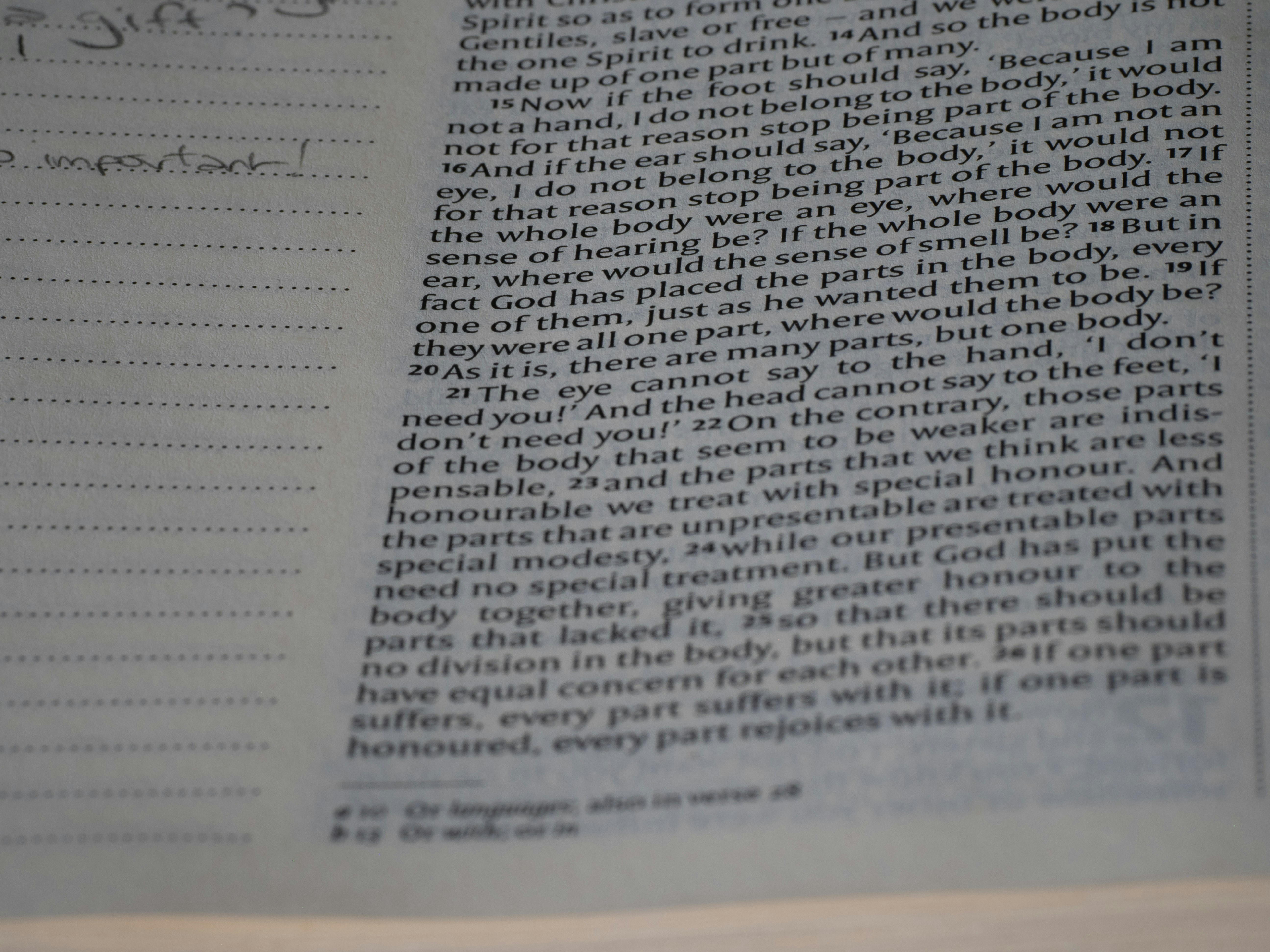 Photo by brett_jordan