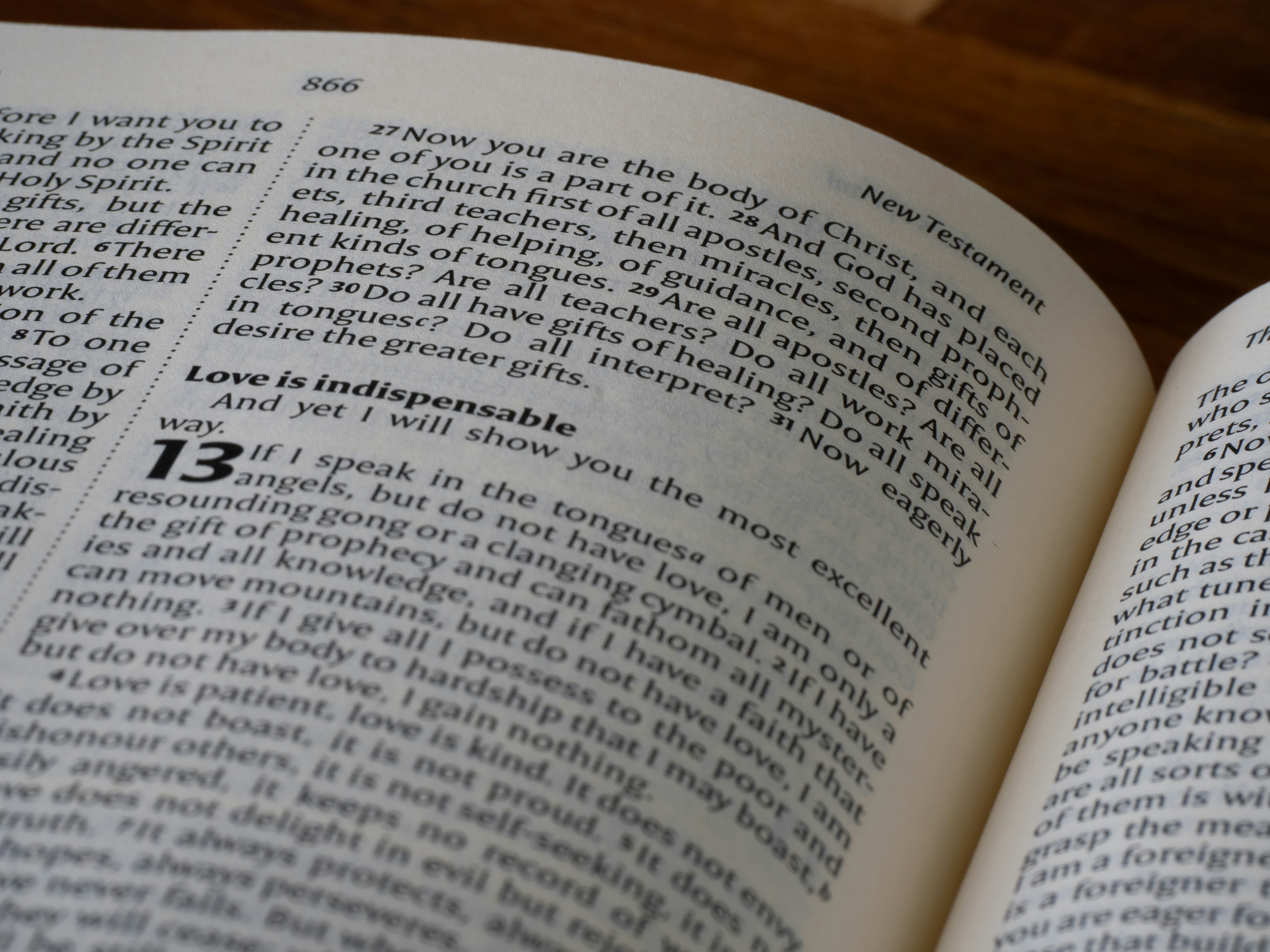 Photo by brett_jordan