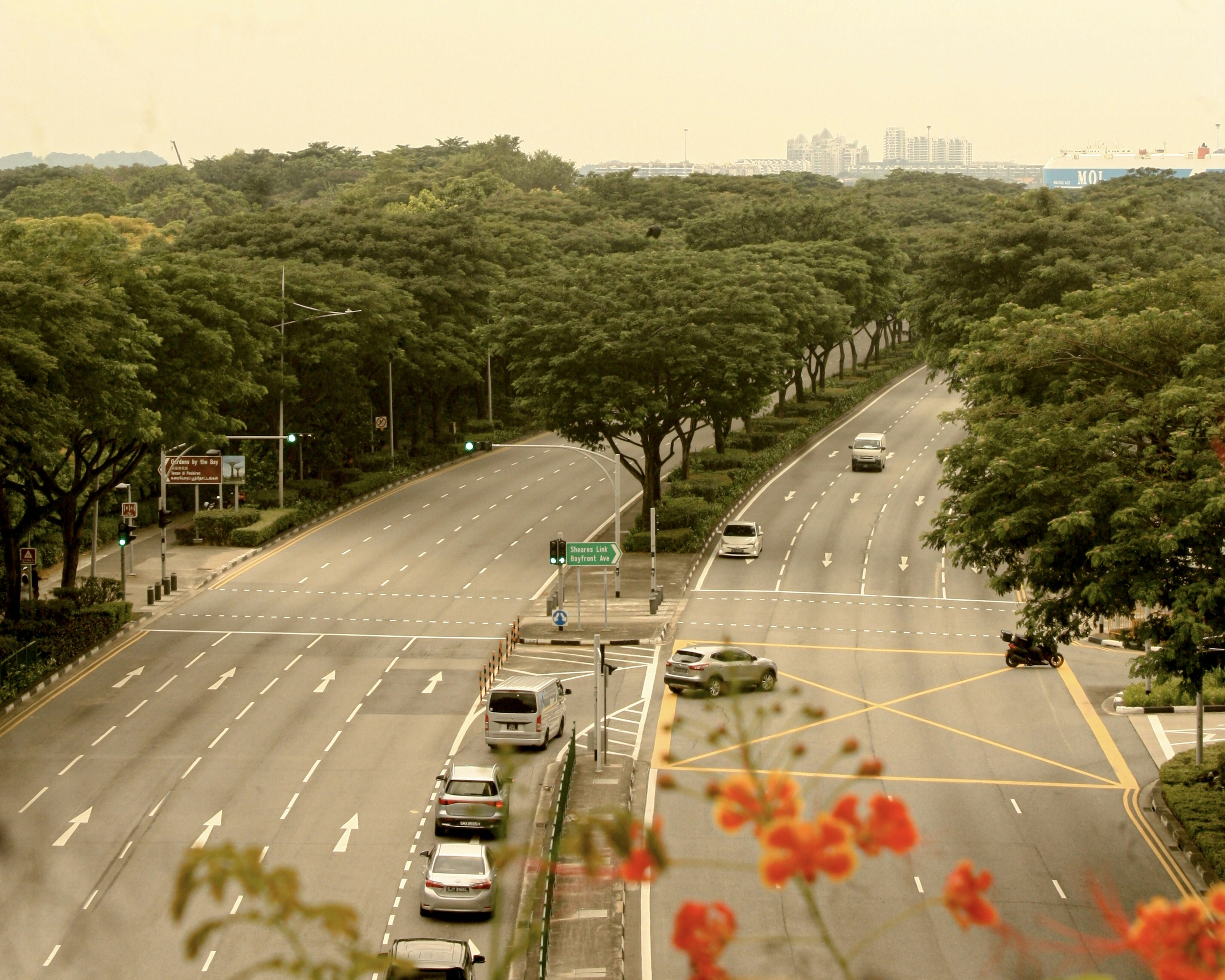 A view of a city street with cars driving on it
