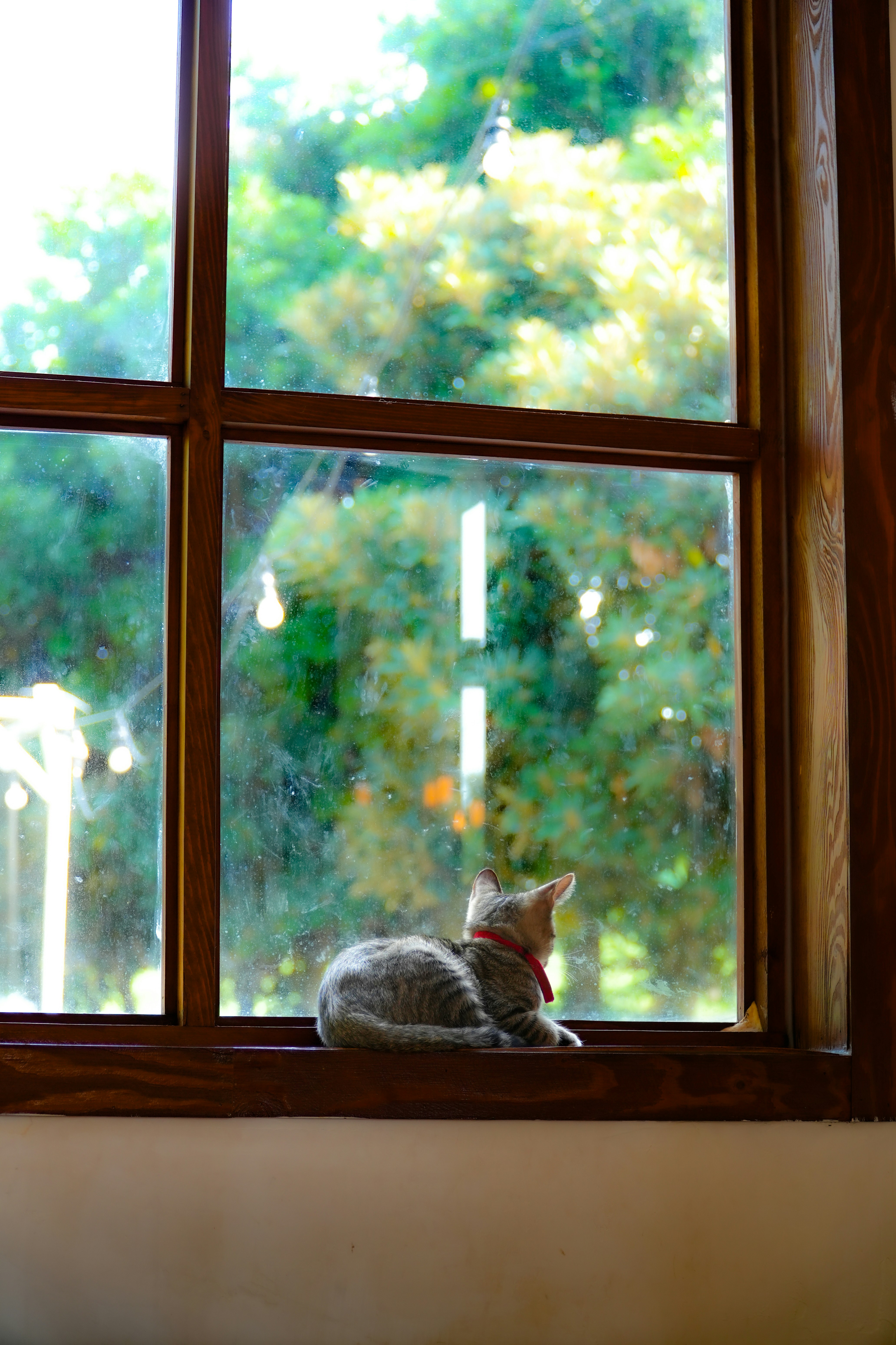 The Unpredictable Human Schedules (image credits: unsplash)