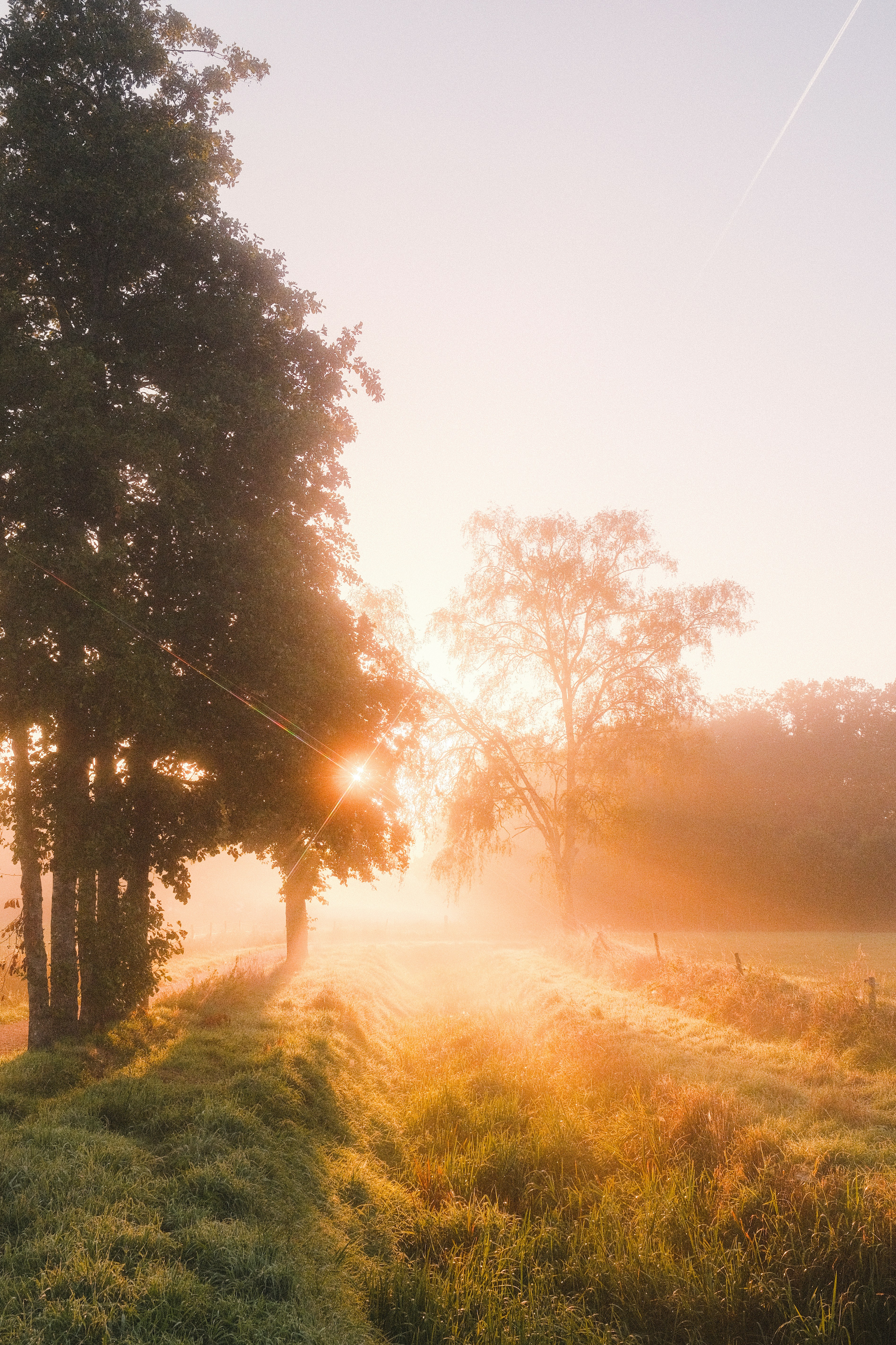 批量替换MD文件中的图片为新的地址